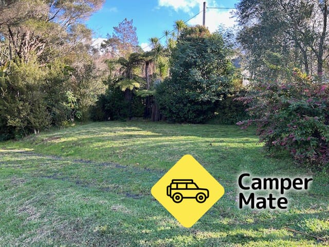 Titirangi Driveway - Image 3
