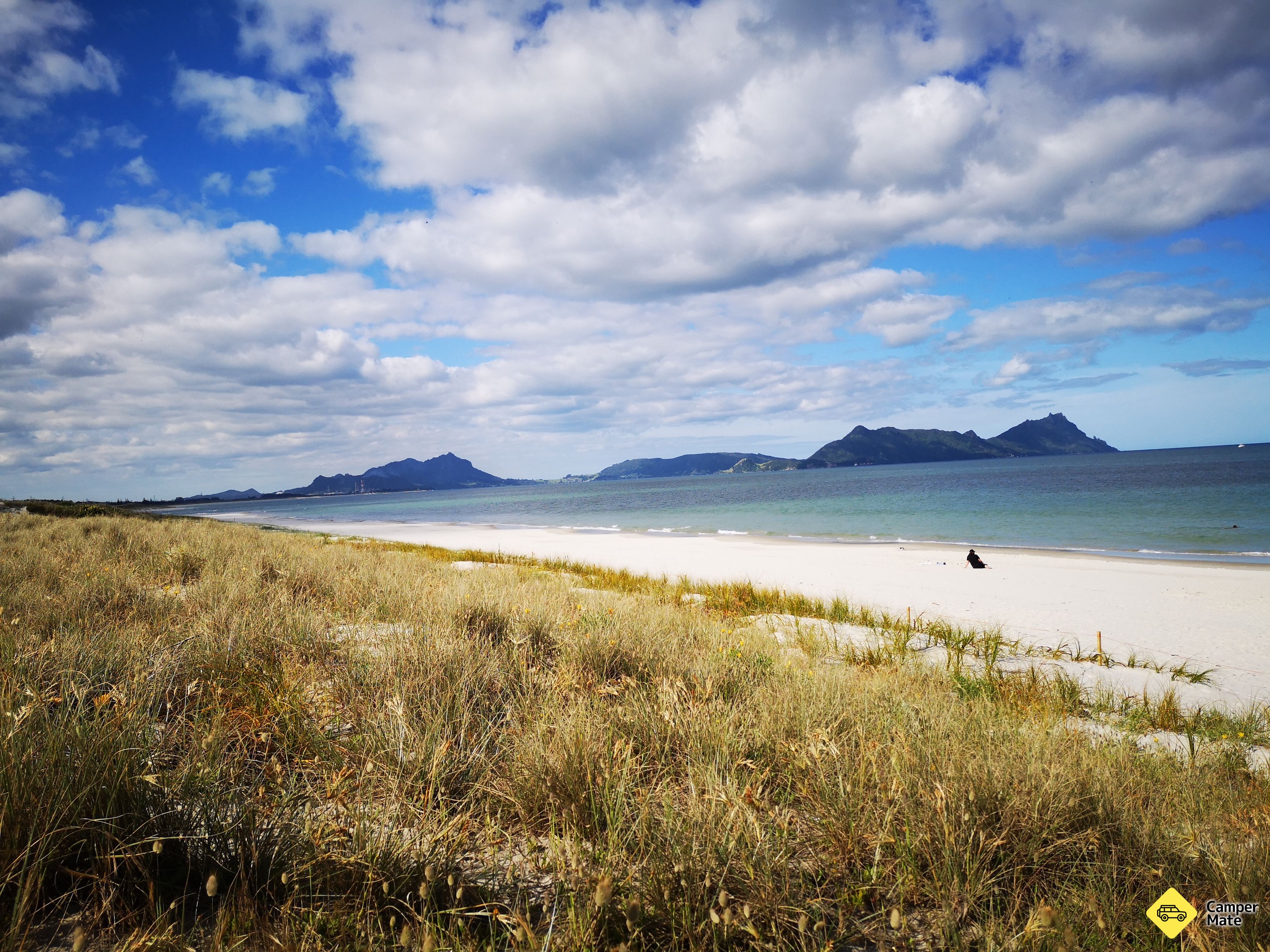 Ruakaka Beach Reserve sevärdheter - Image 3