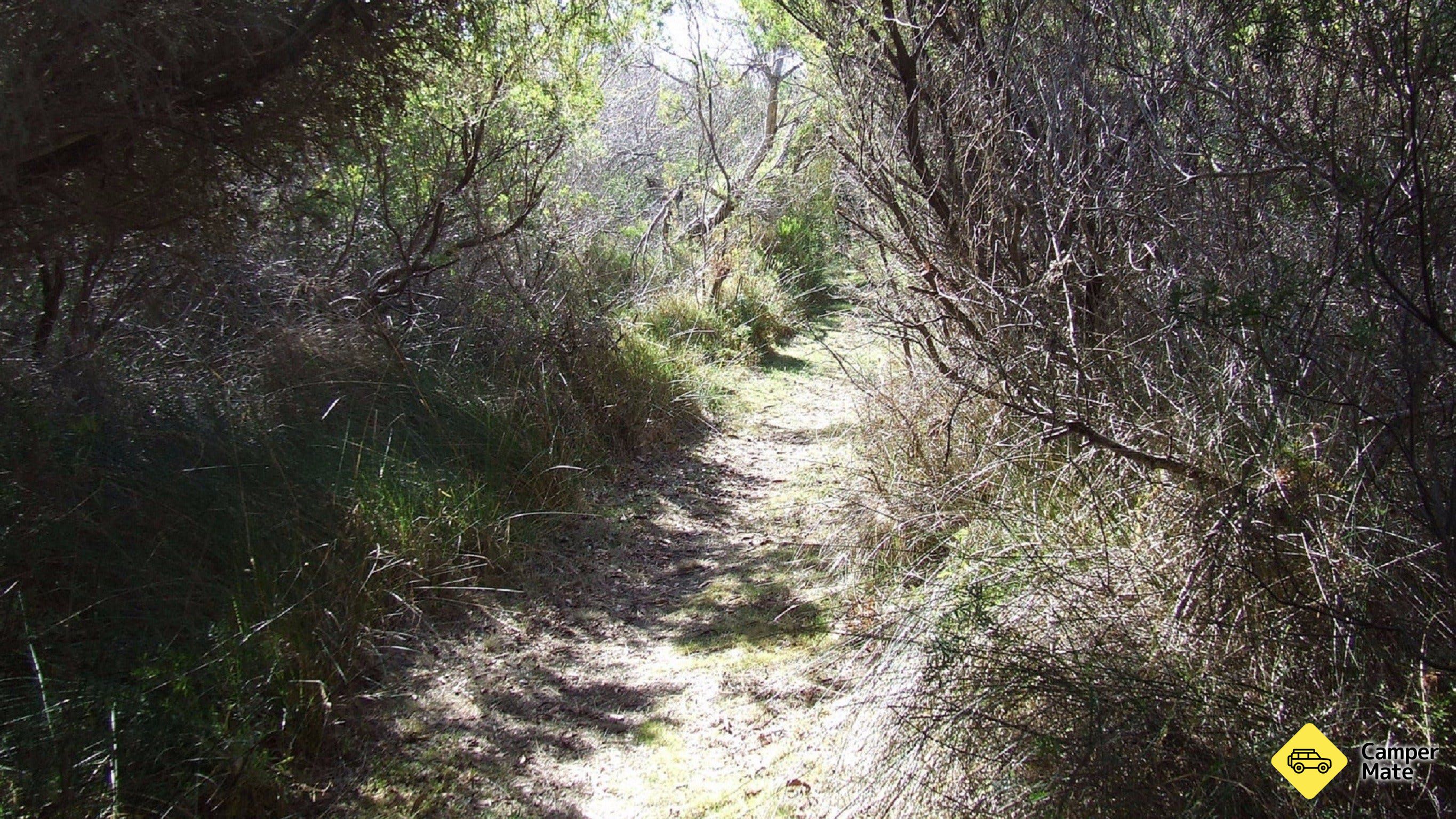 Jack og Hilda McArthur Walk