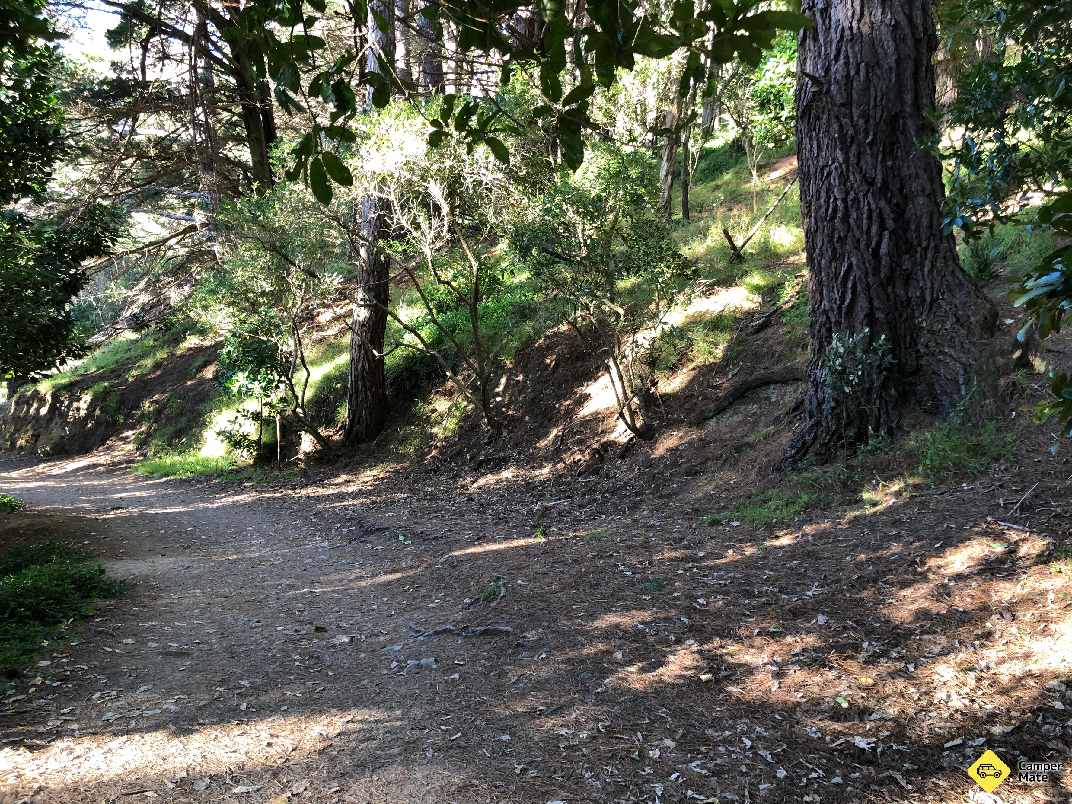 Công viên Mount Victoria - Image 2