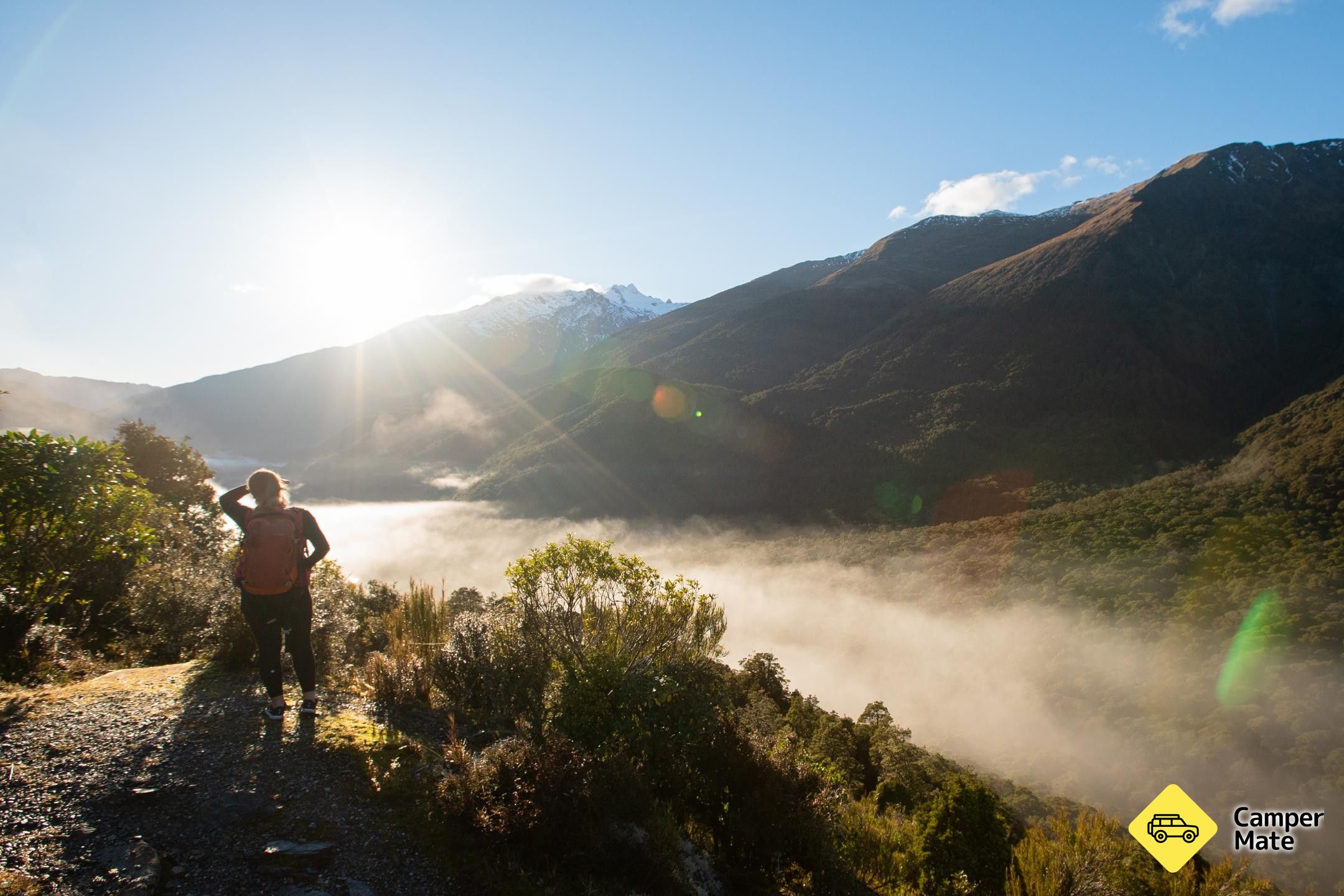 Haast Pass Lookout