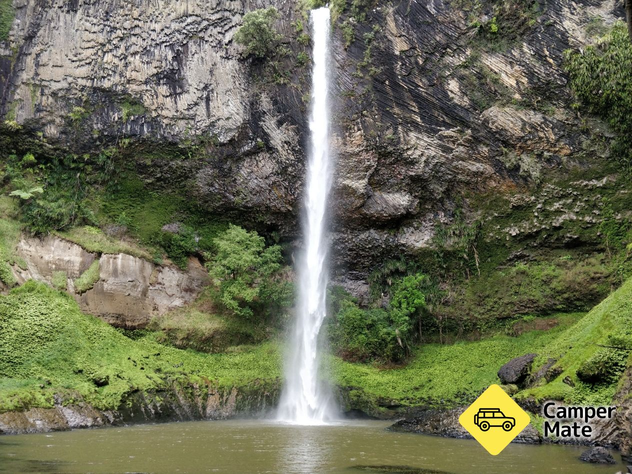 Waireinga / Bridal Veil Falls Walk - Image 3