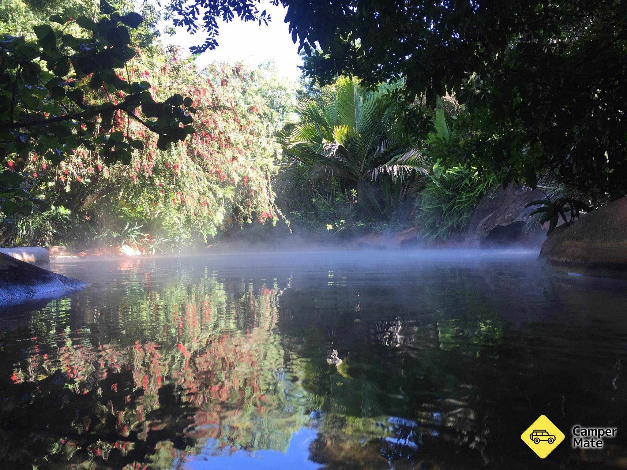 The Lost Spring - Image 2