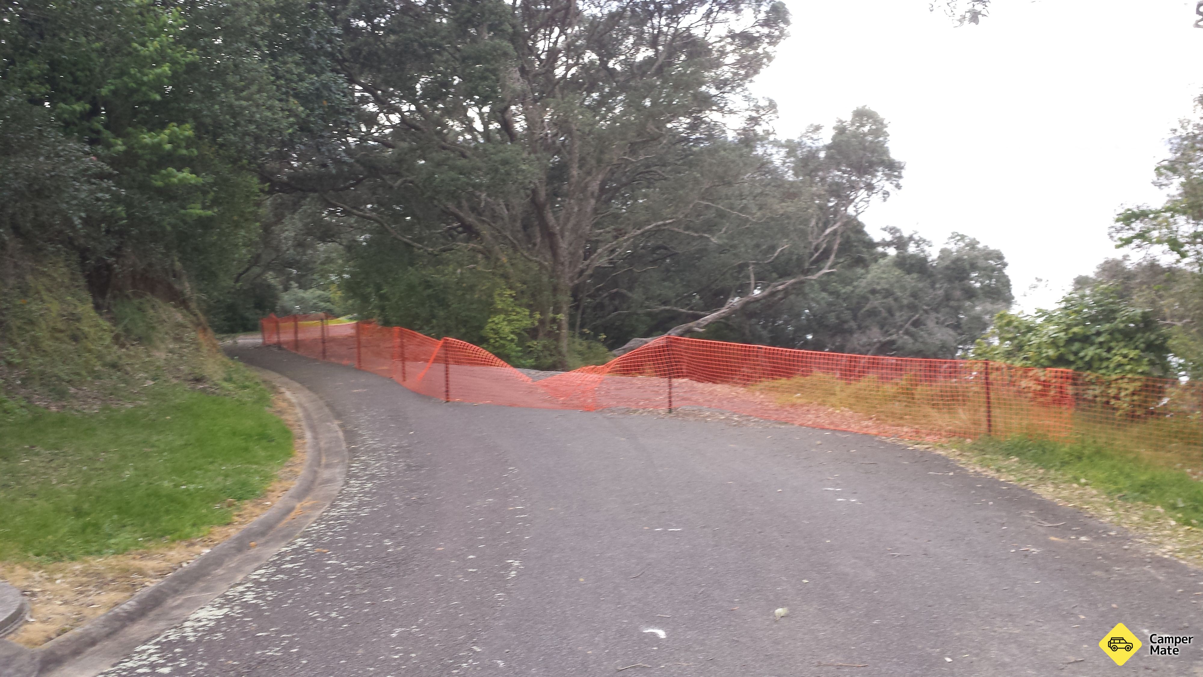 Kauri Point Historic Reserve - Image 3