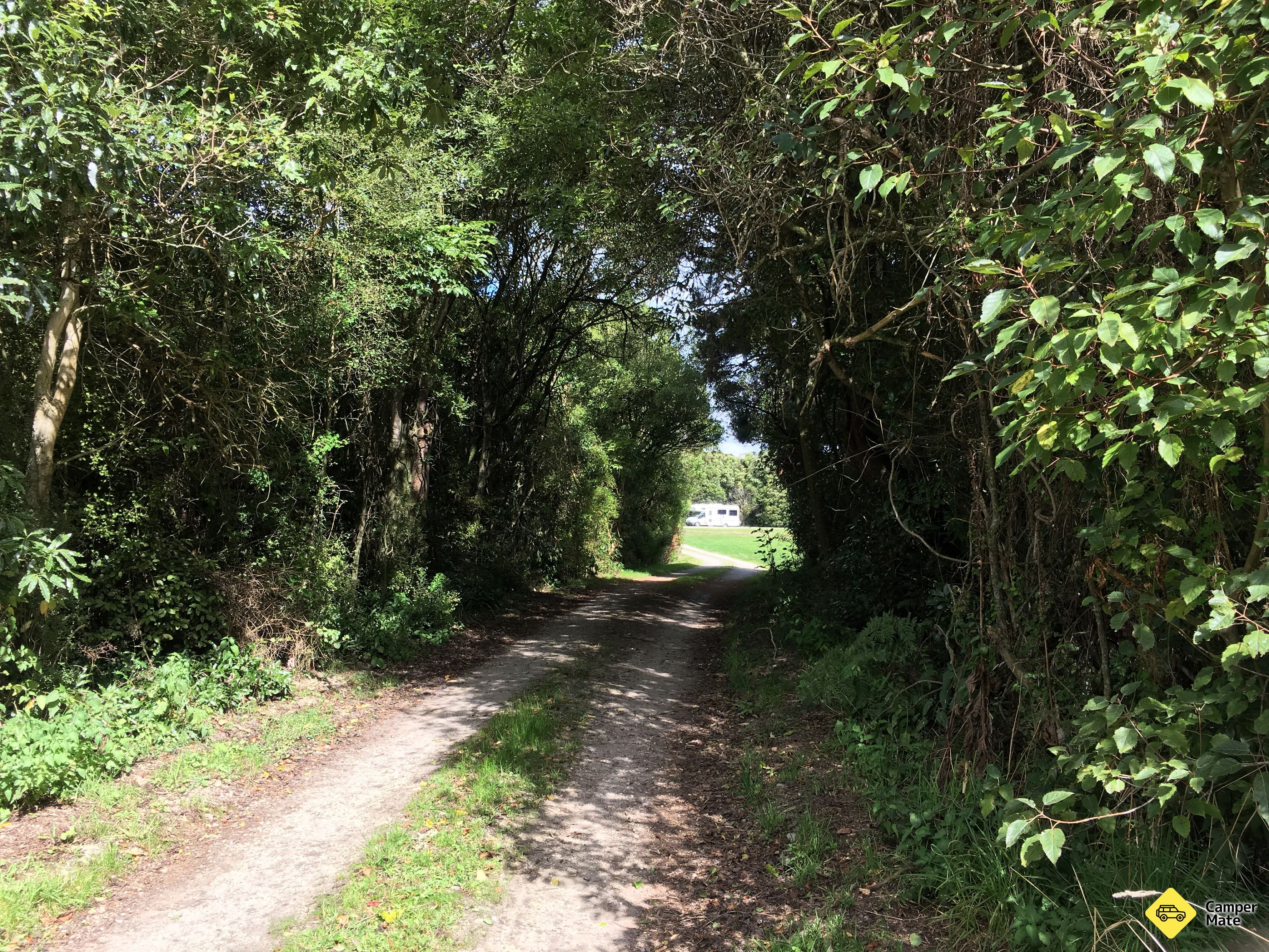 Seaward Downs Reserve Track - Image 3