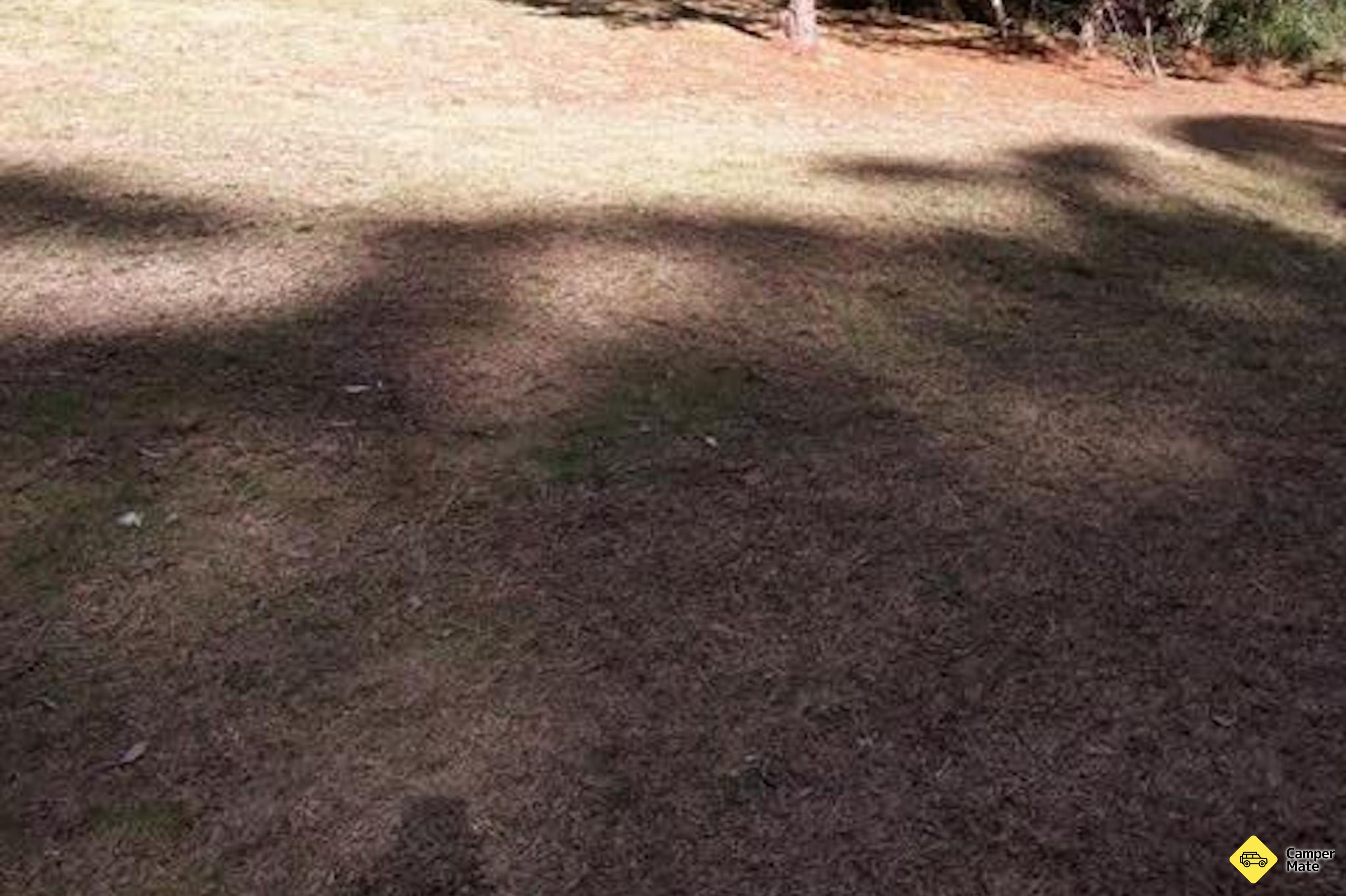 Crooked Creek Picnic Area - Image 2