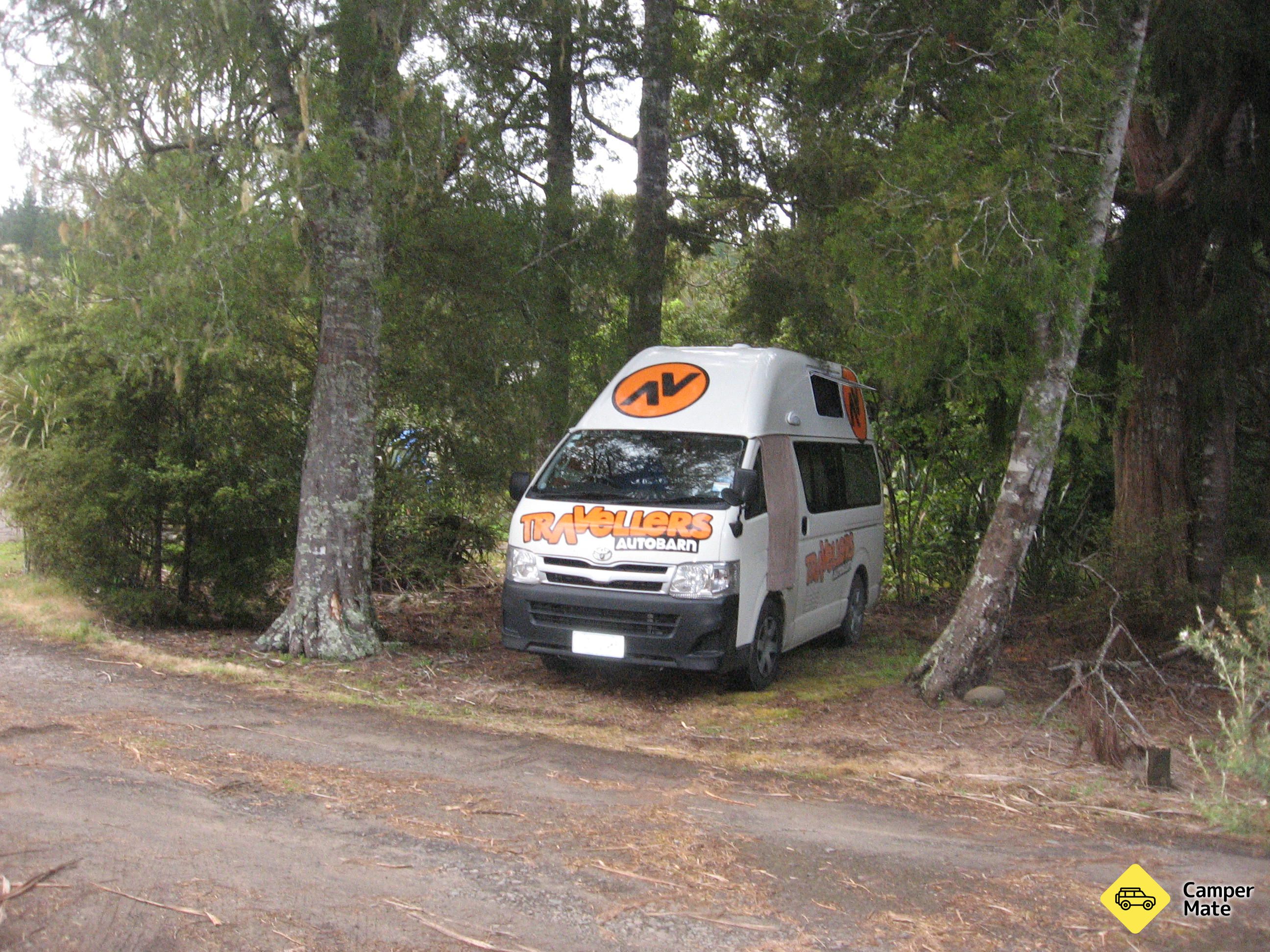 Waipoua Forest Nature Park - Image 2