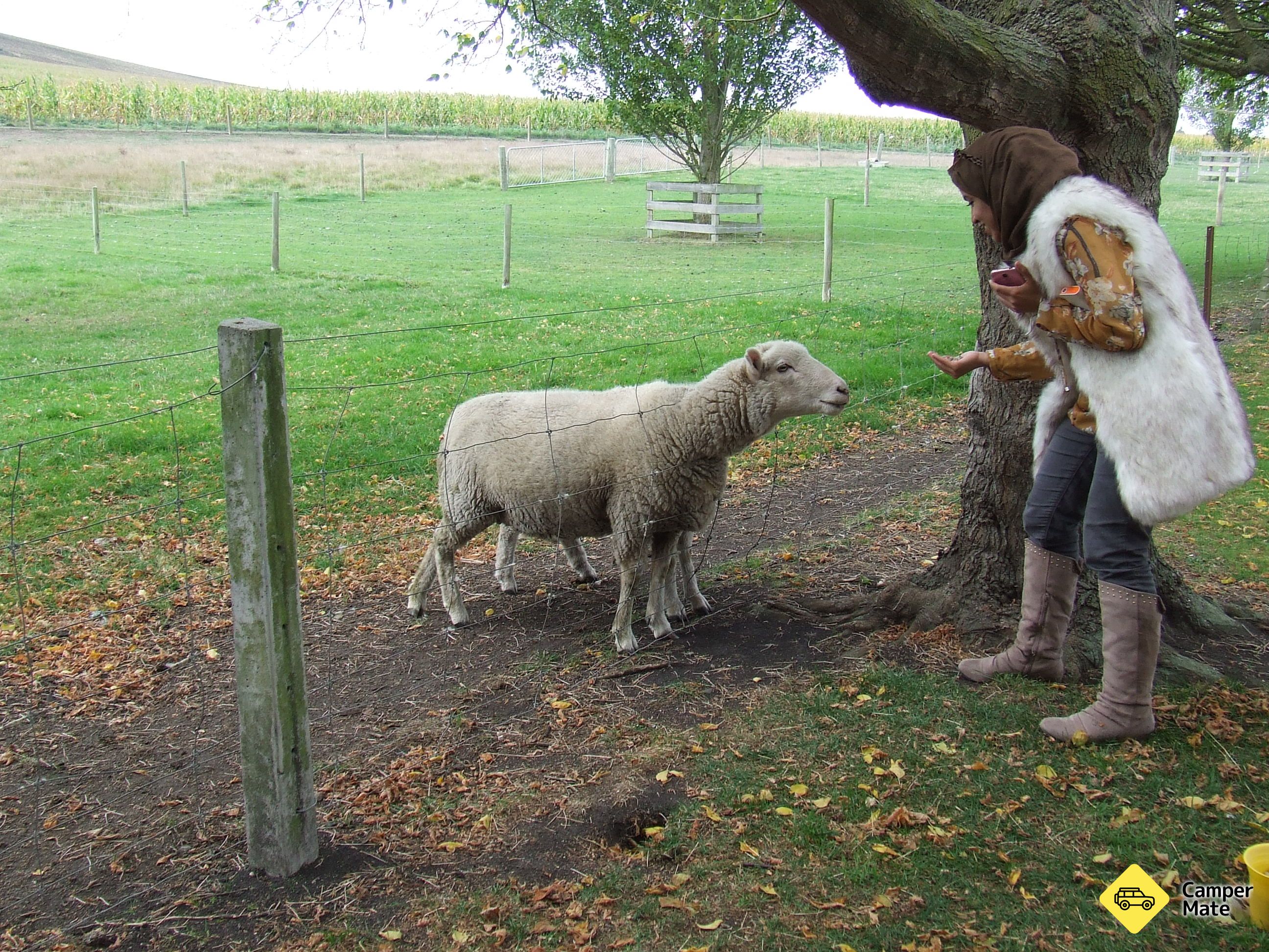 Totara Estate - Image 3