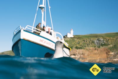 Monarch Wildlife Cruises