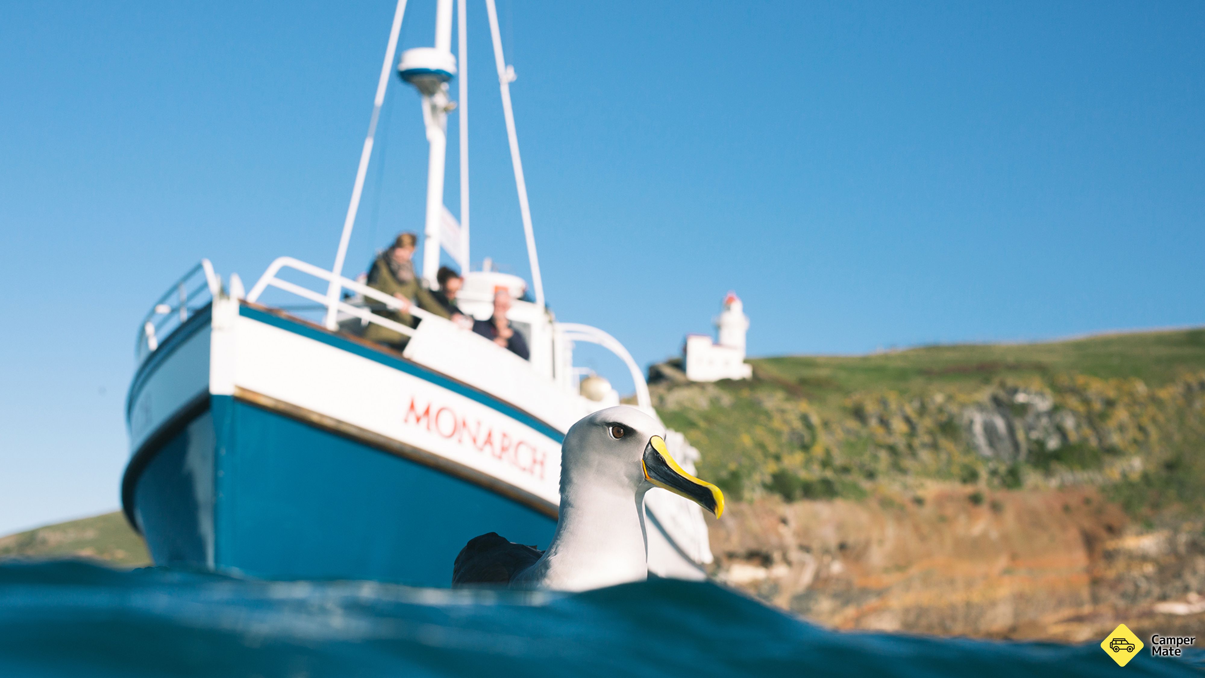 Monarch Wildlife Cruises