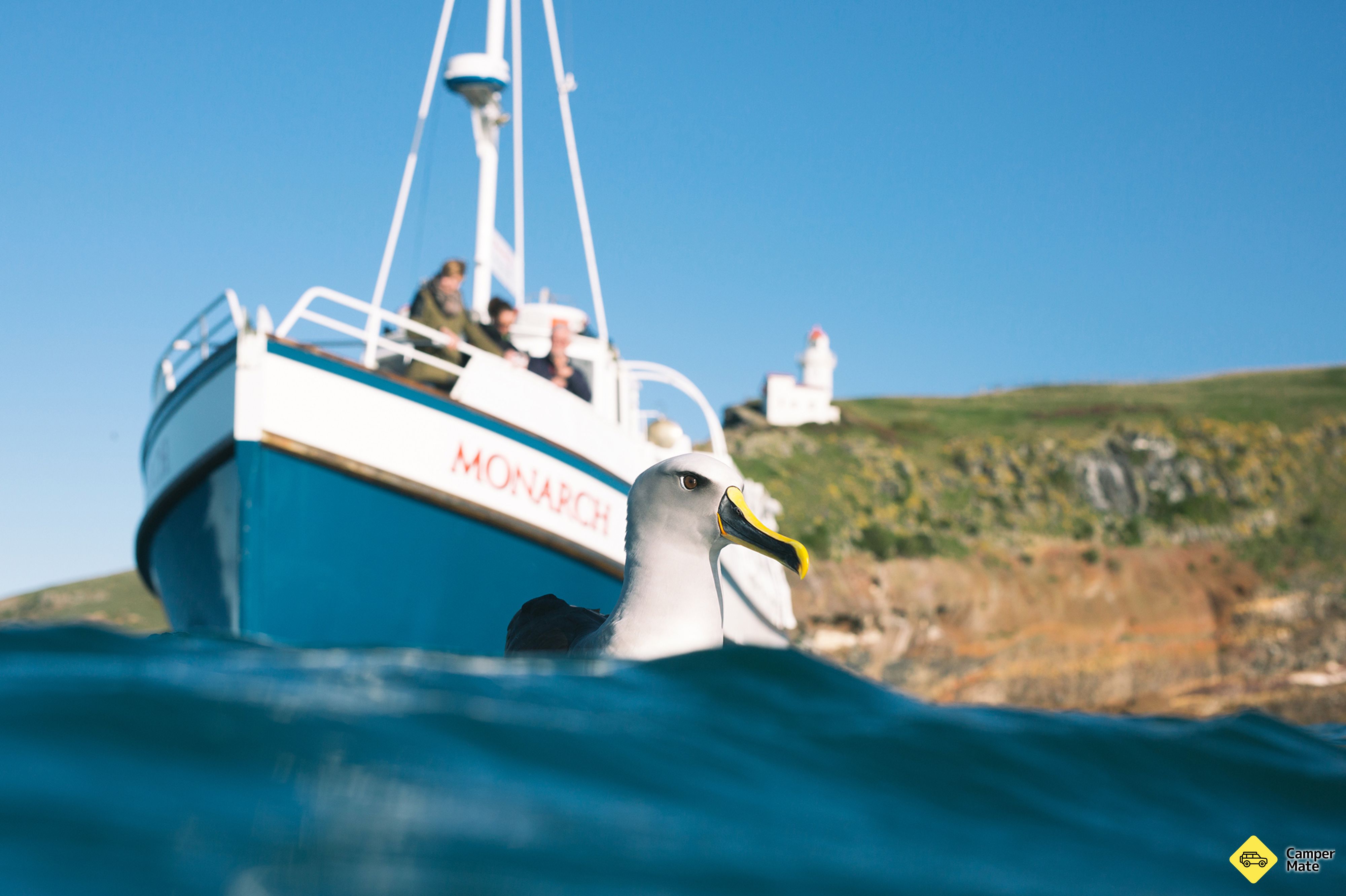 Monarch Wildlife Cruises