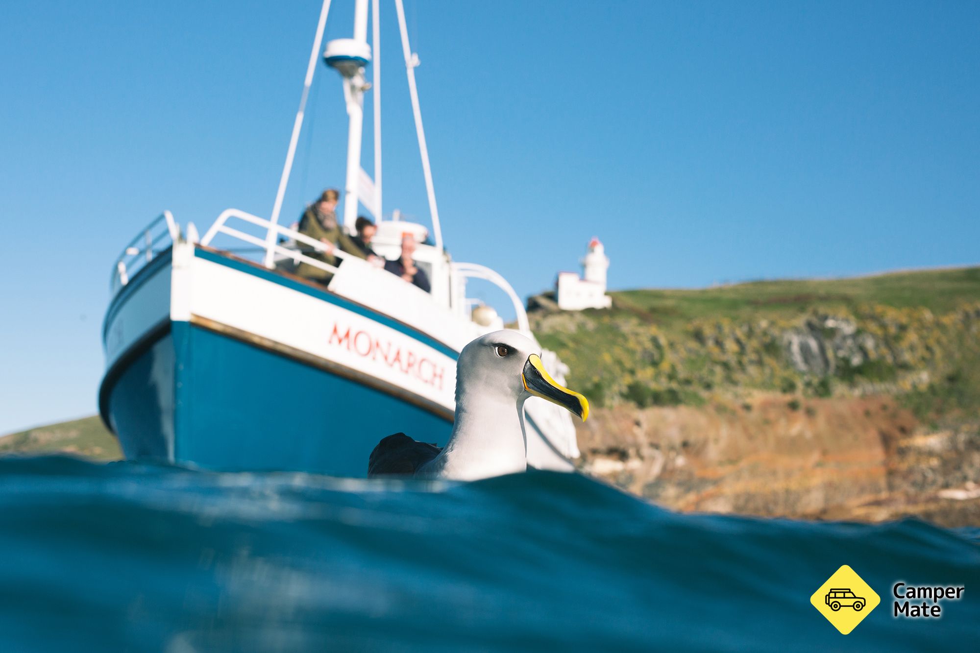 Monarch Wildlife Cruises