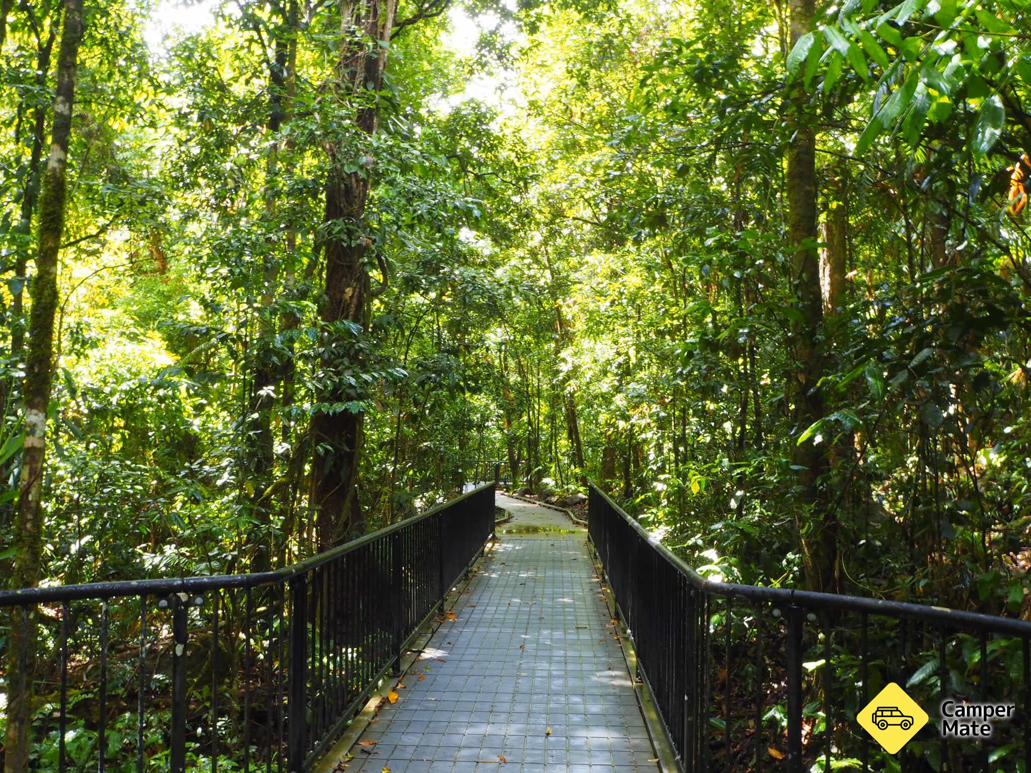 Mossman Gorge - Image 2
