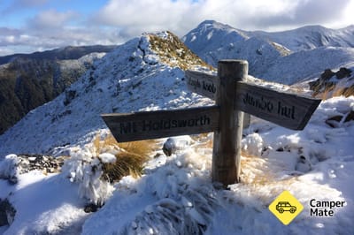 Mount Holdsworth Summit Track