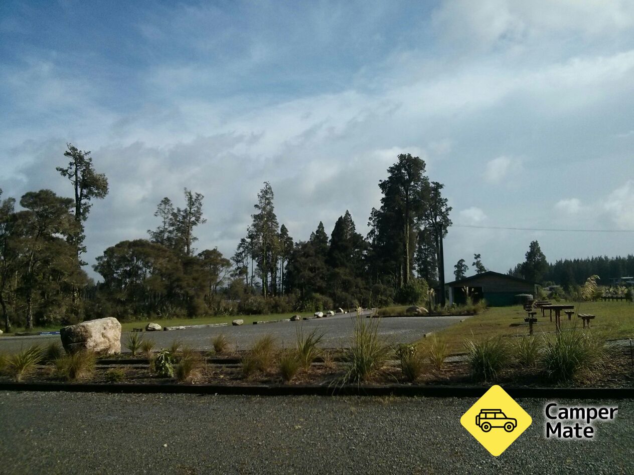 Iveagh Bay Campsite - Image 2