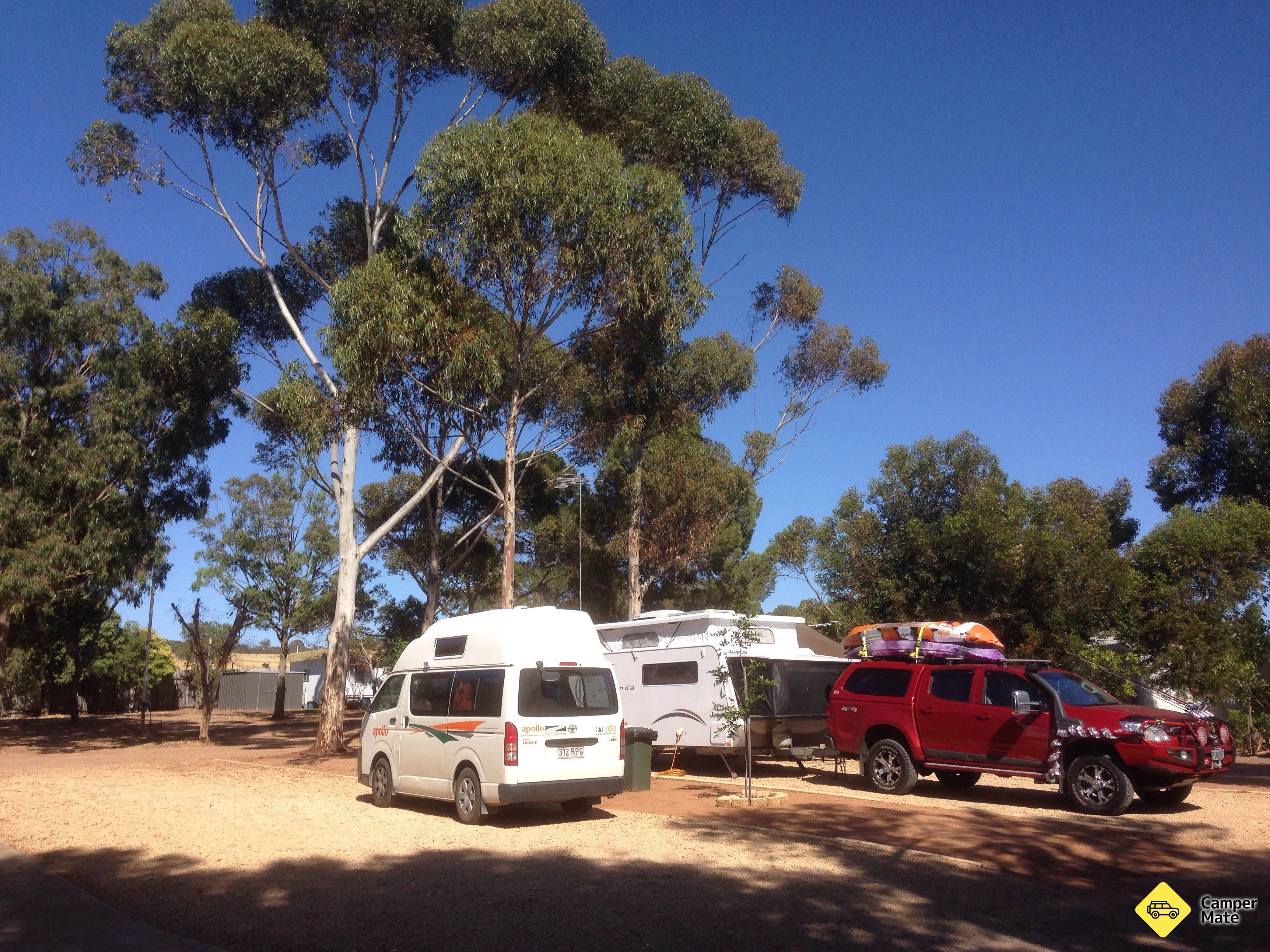Murray Bridge Tourist Park - Image 2