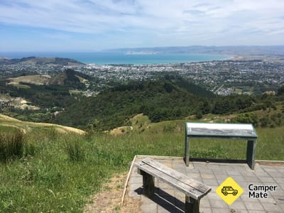 Te Kuri Farm Walkway