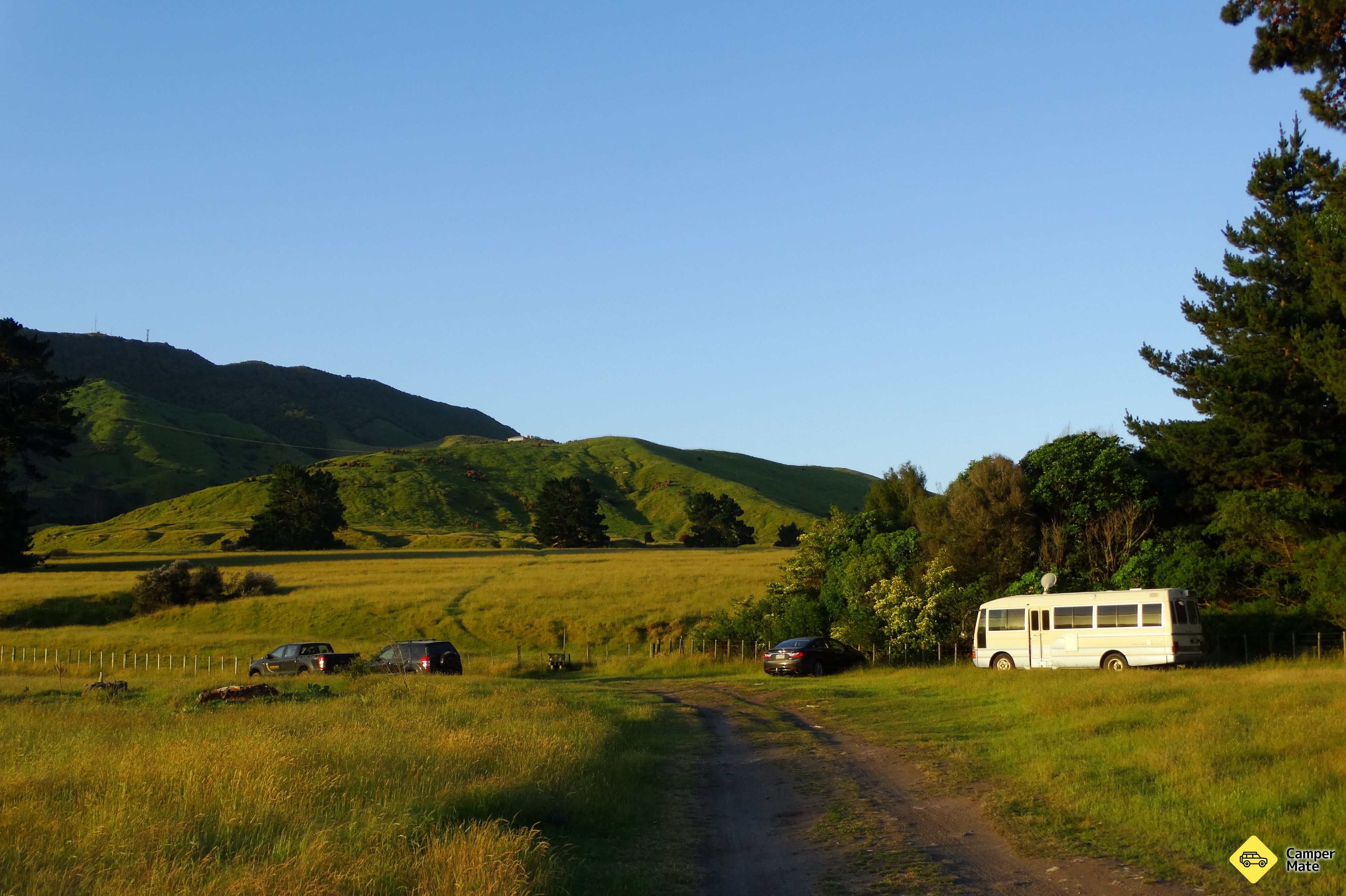 Whakaipo Bay Freedom Camping Area - Image 3