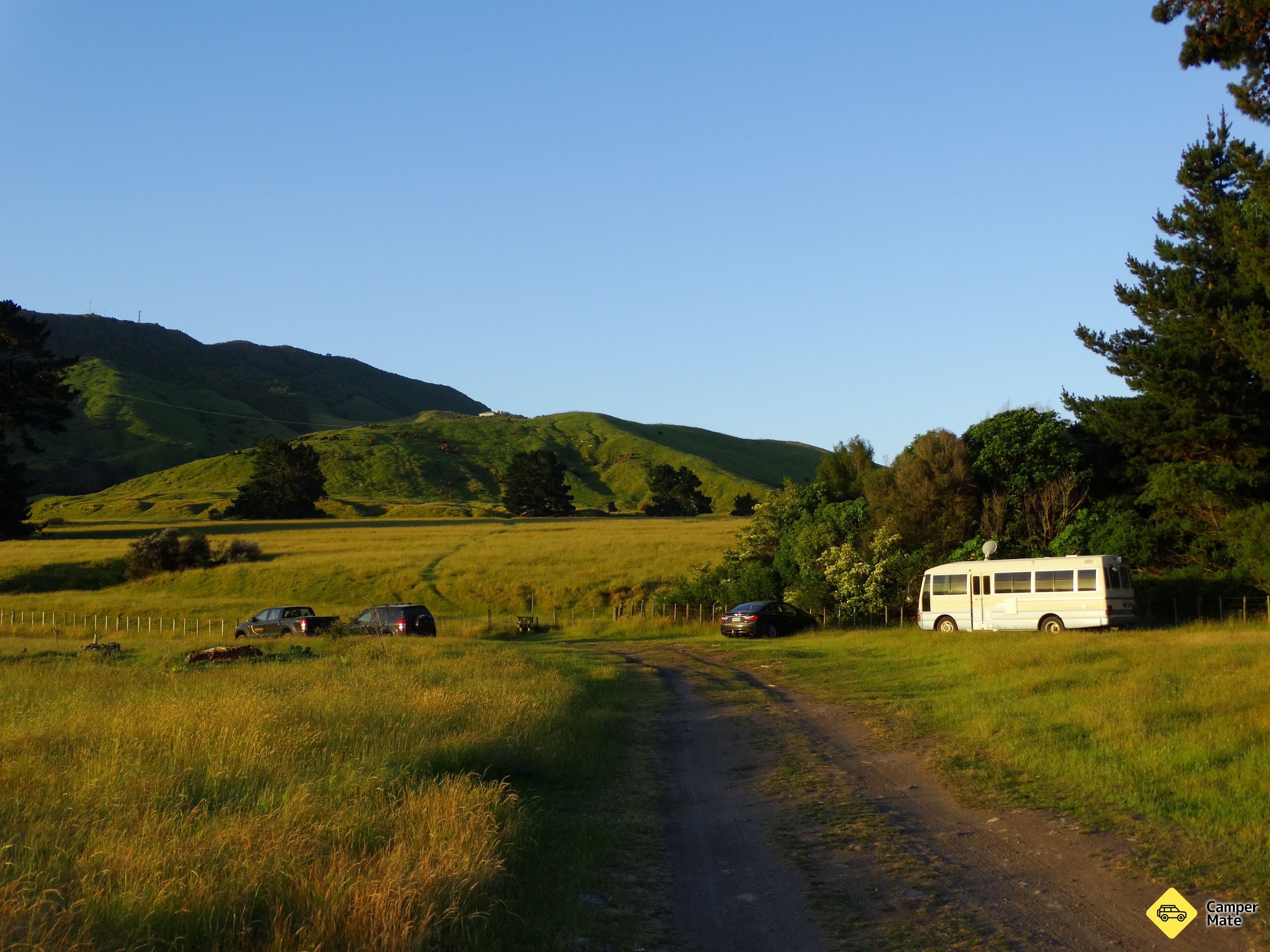 Whakaipo Bay Freedom Camping Area - Image 3