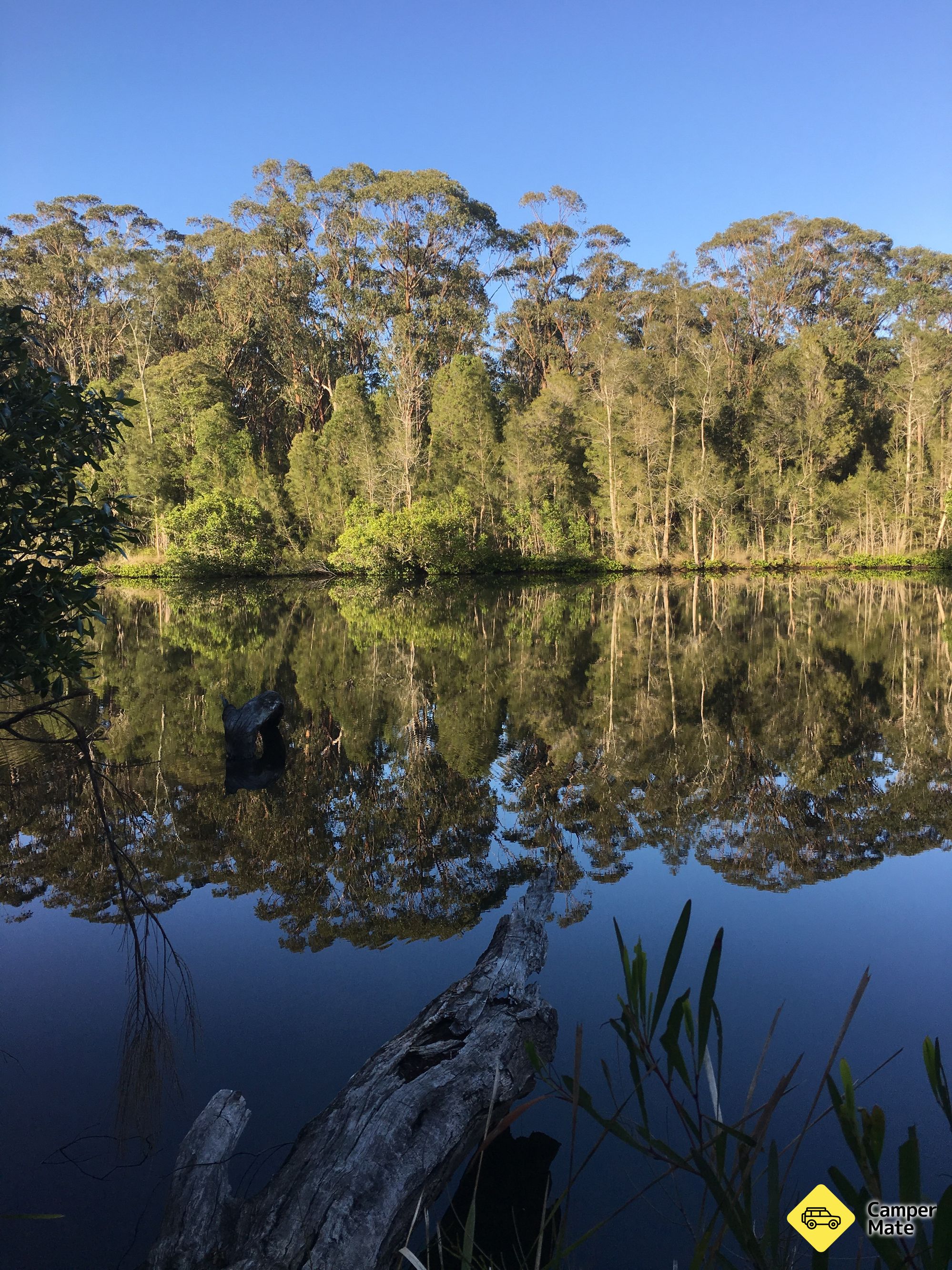 Wallingat River Campground - Image 3