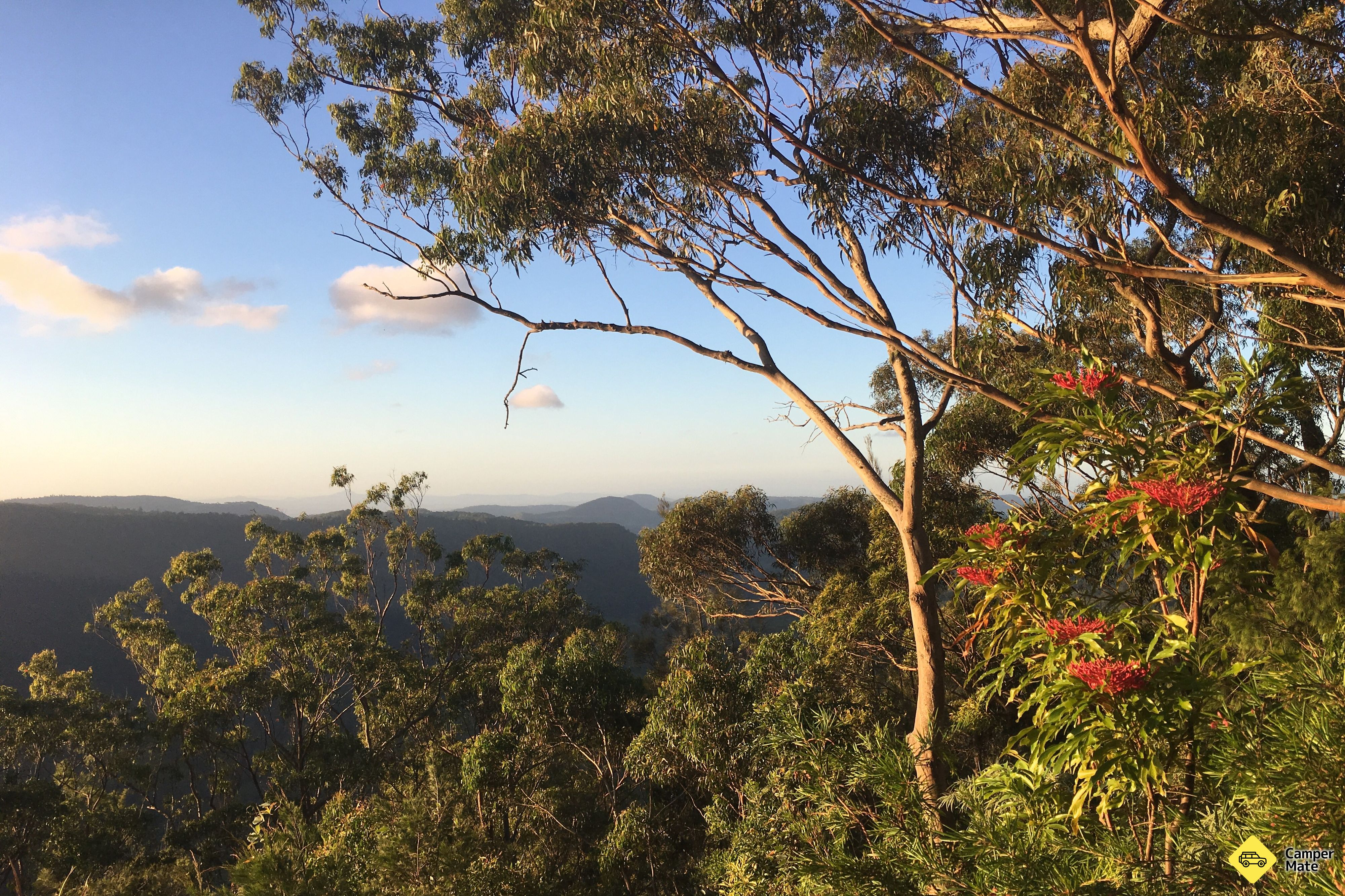 Binna Burra Lodge and Rainforest Campsite - Image 3