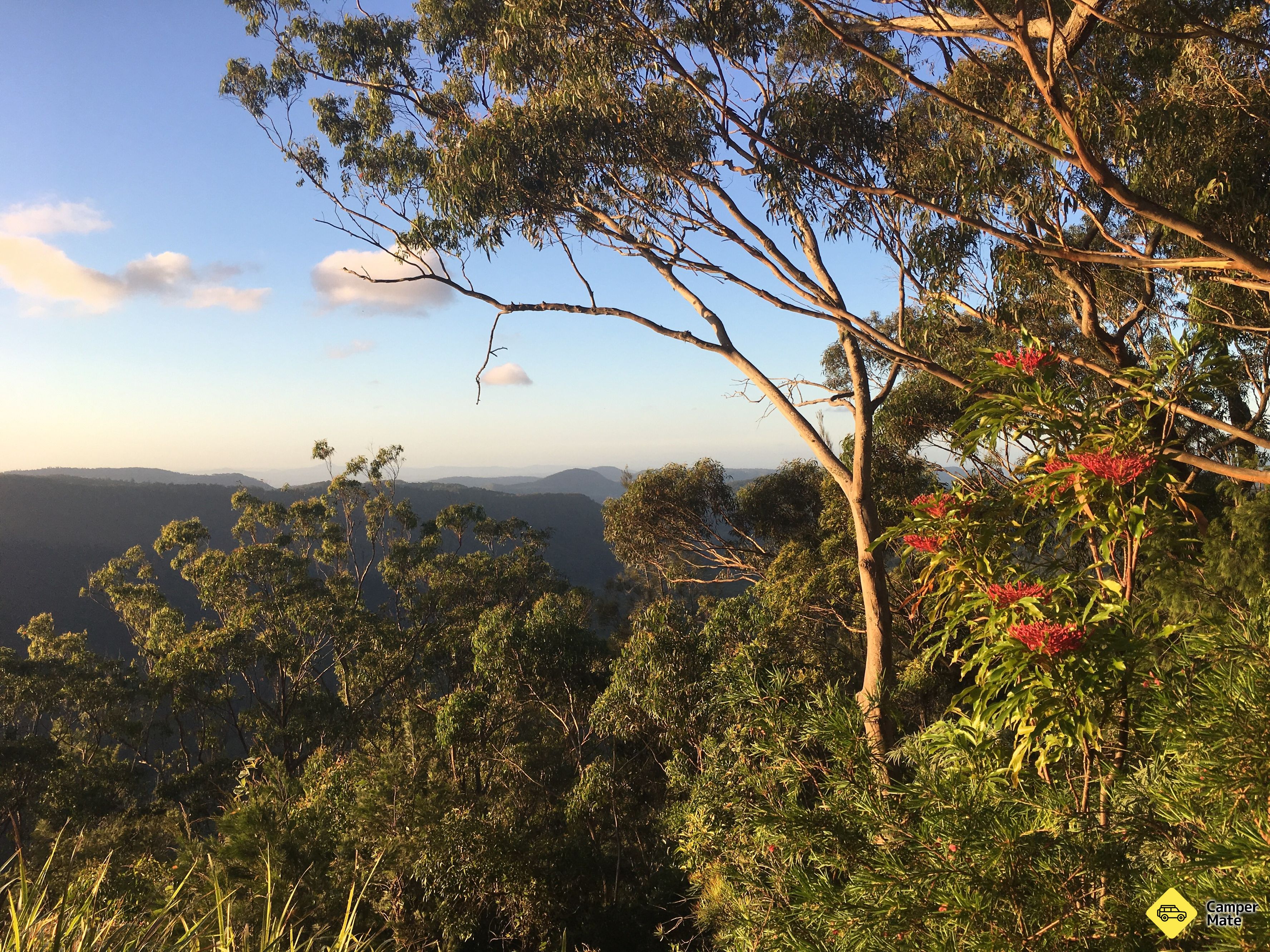 Binna Burra Lodge and Rainforest Campsite  - Image 3
