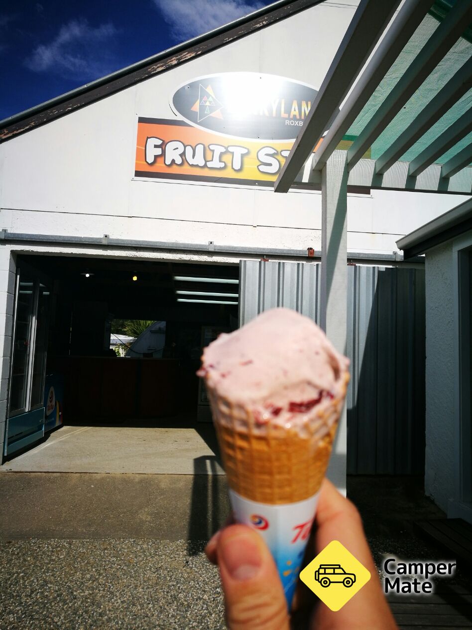 Berryland Fruit Farm - Image 3