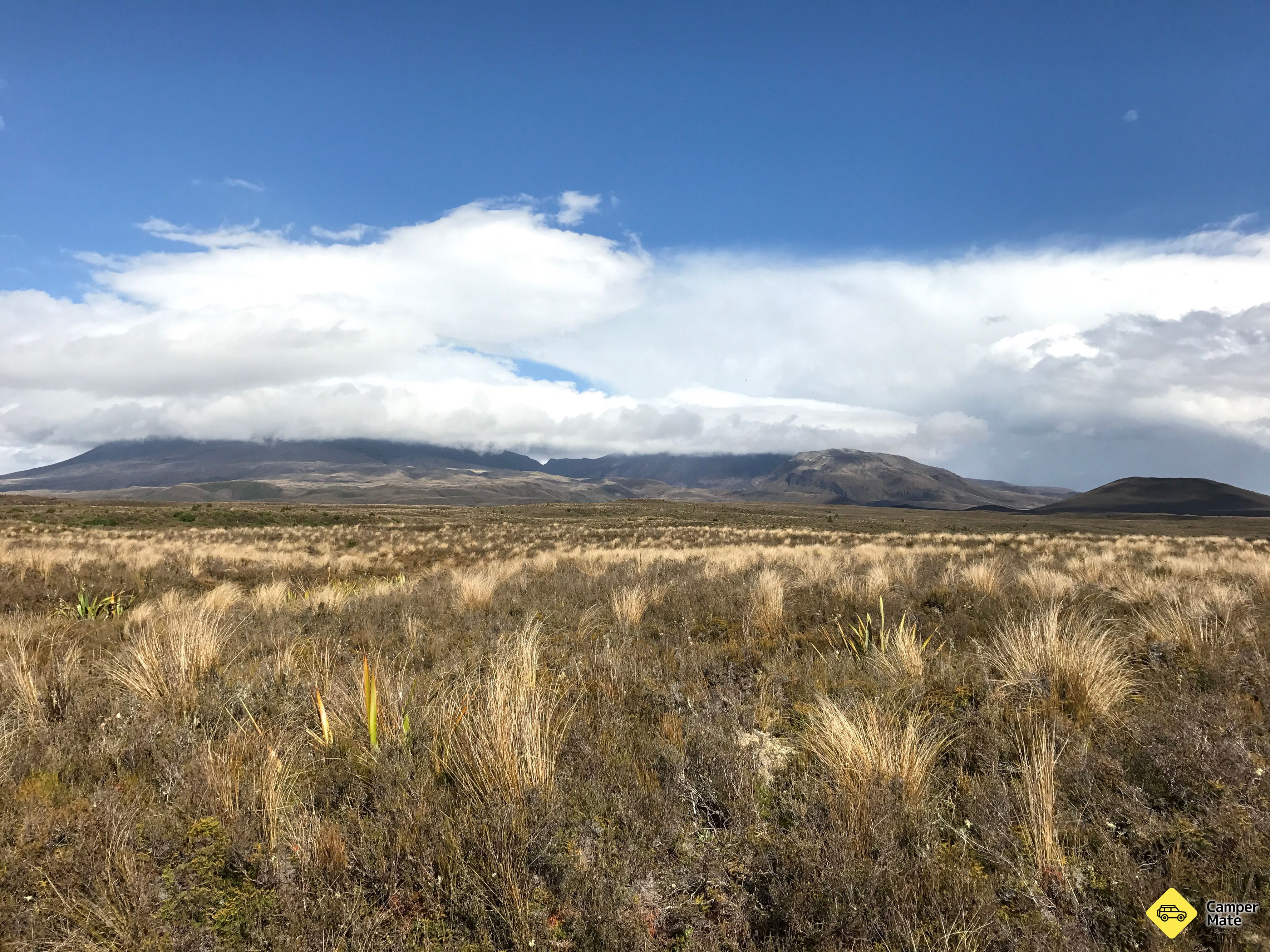 Tongariro National Park View