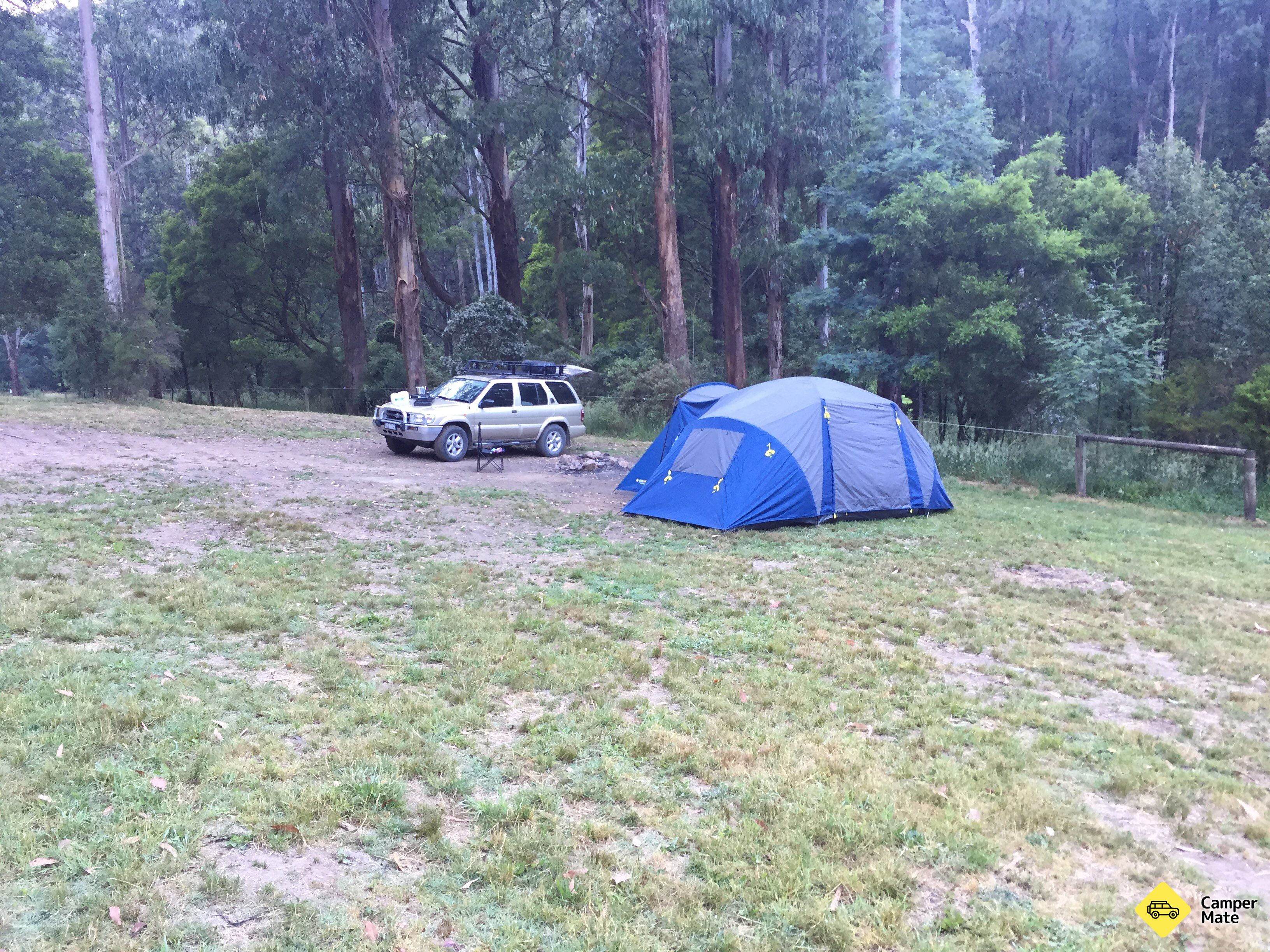 Aktivitäten in der Nähe von Toorongo Falls Camping - Image 2