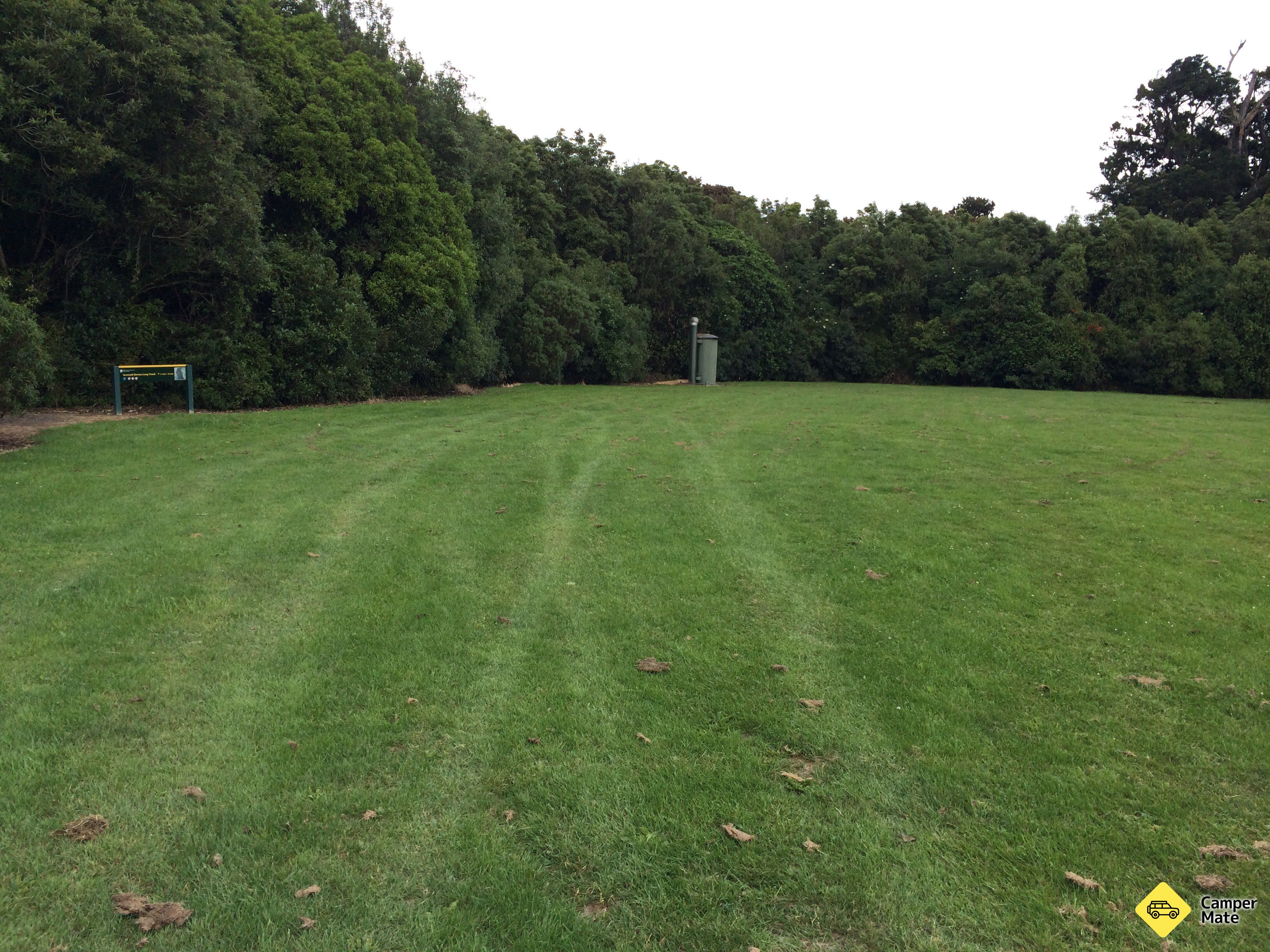 Seaward Downs Reserve Track