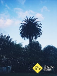 Omokoroa Caravan & Motorhome Park