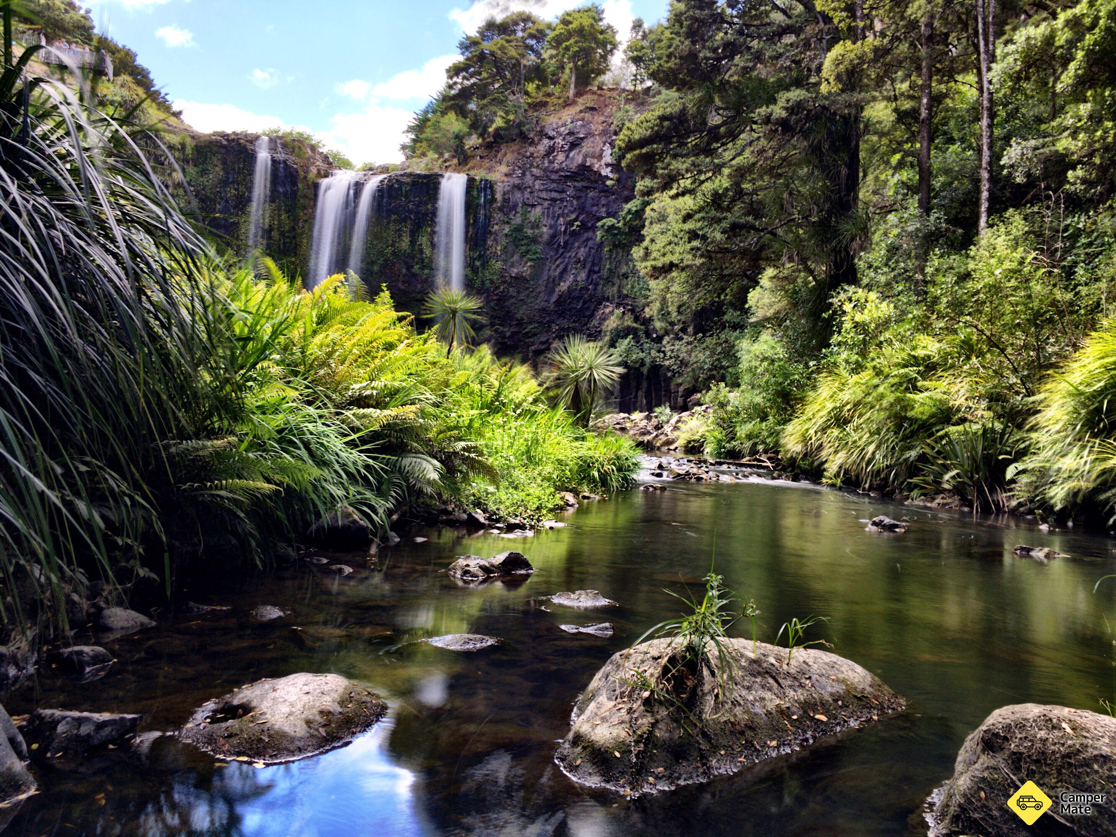Whangarei Falls - Image 2