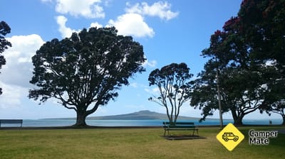Narrow Neck Beach