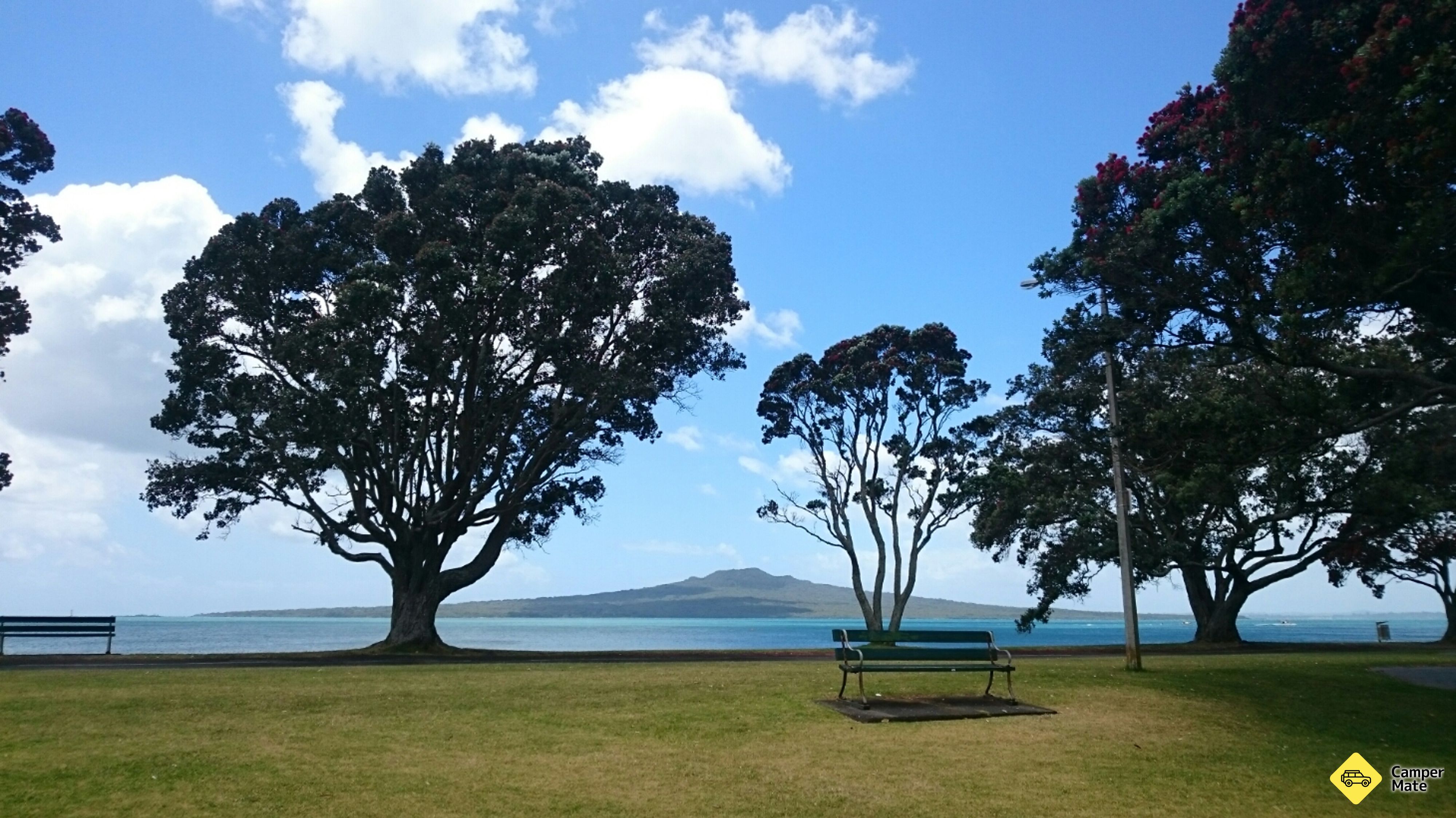 Narrow Neck Beach 근처 오락거리
