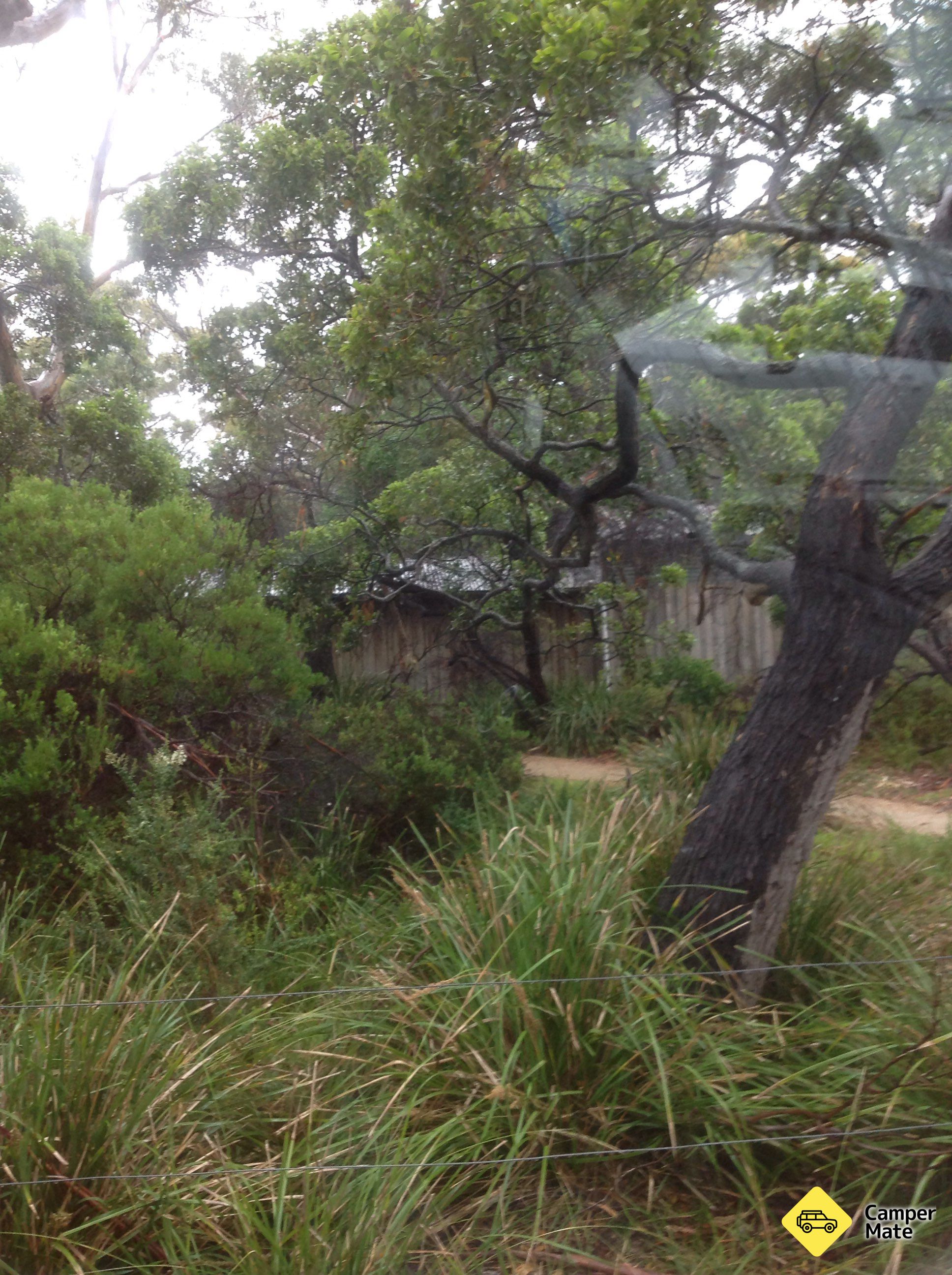 Parc national Freycinet Camping Ground - Image 2