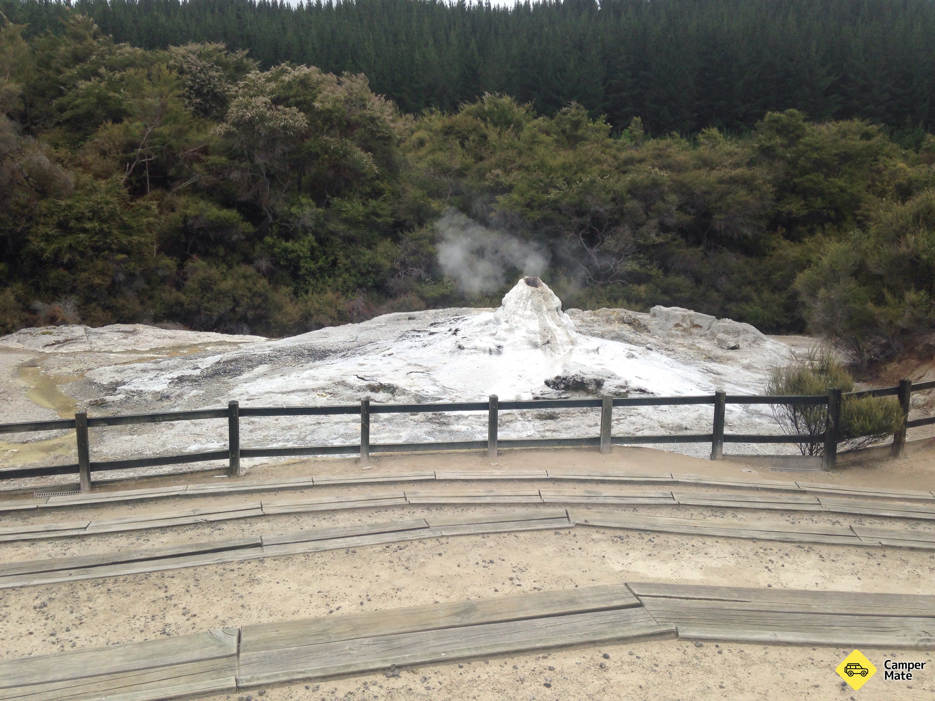 Lady Knox Geyser - Image 2