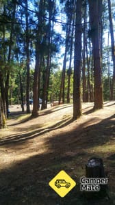 Nanga Mill, Lane Pool Reserveのレビュー