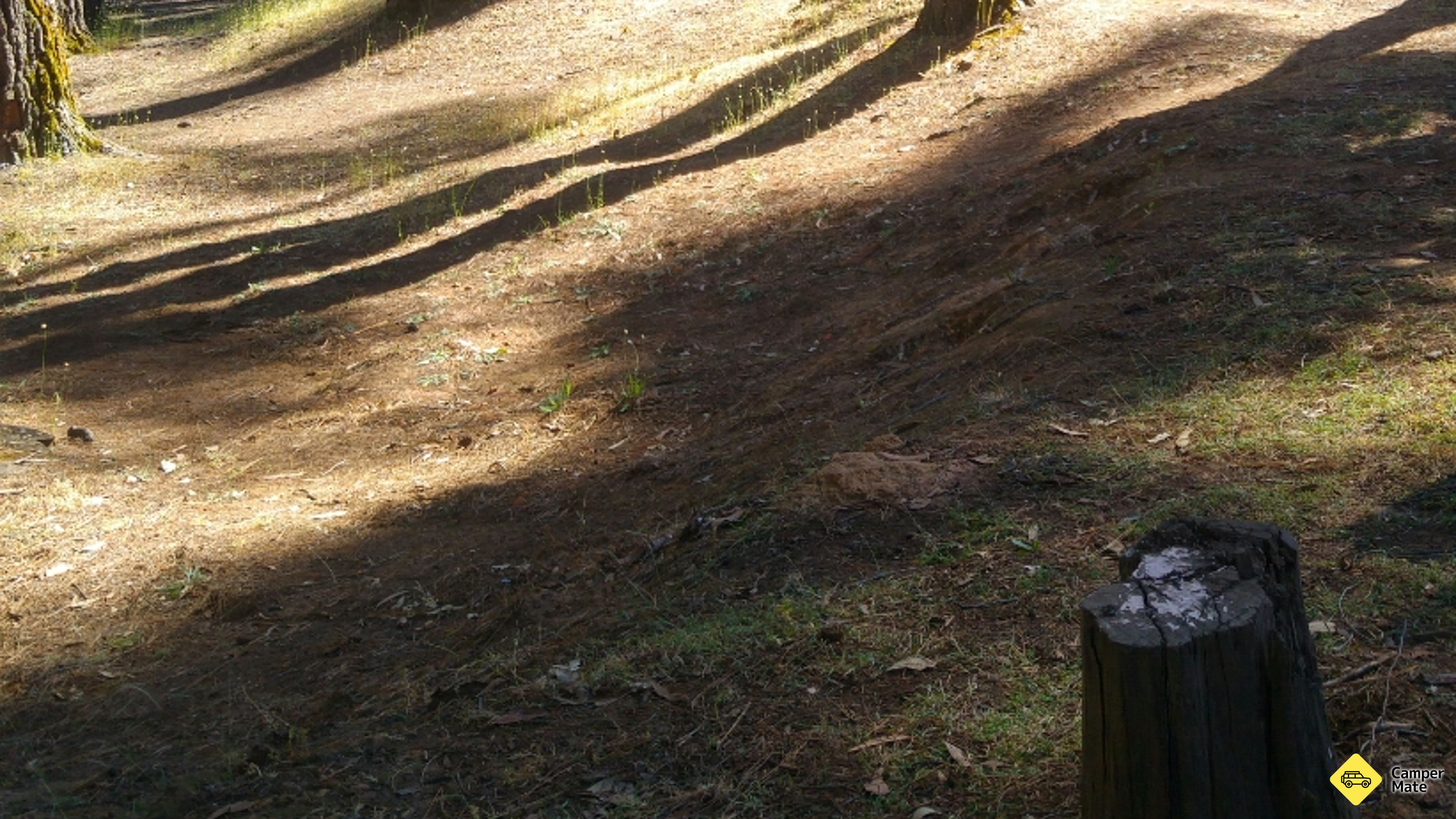 Nanga Mill, Lane Pool Reserveのレビュー