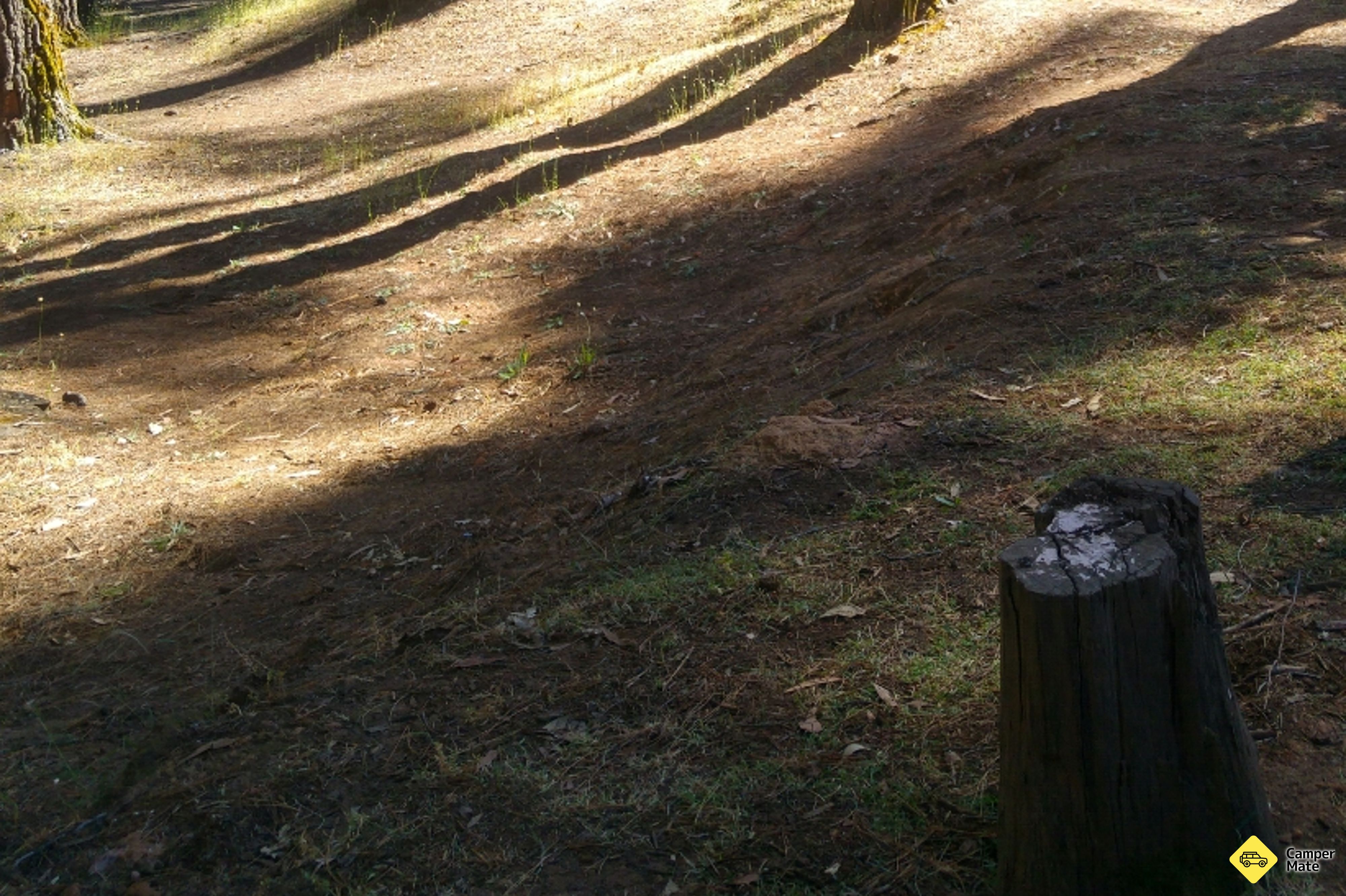 Nanga Mill, Lane Pool Reserveのレビュー
