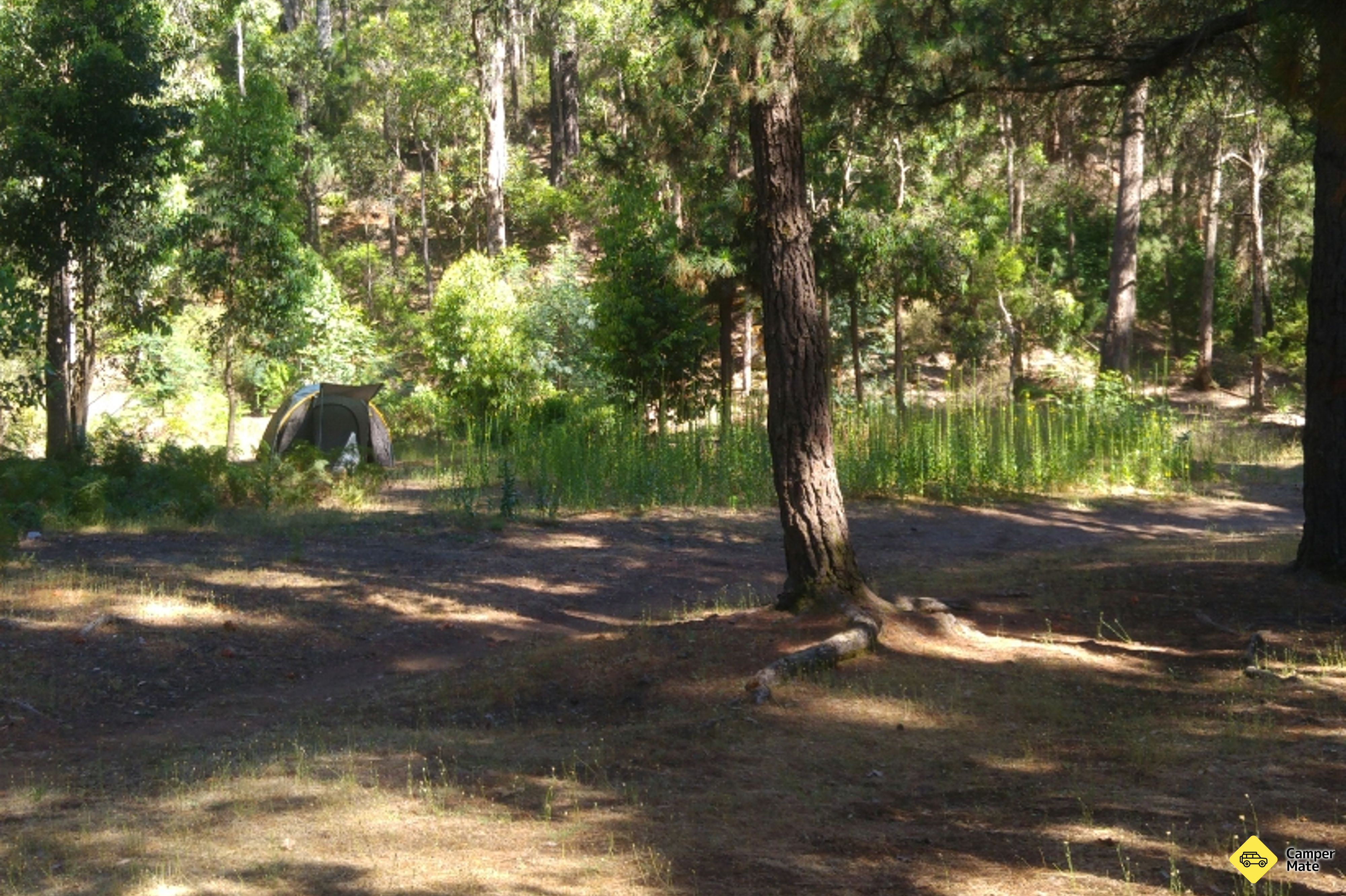 Nanga Mill, Lane Pool Reserveのレビュー - Image 2