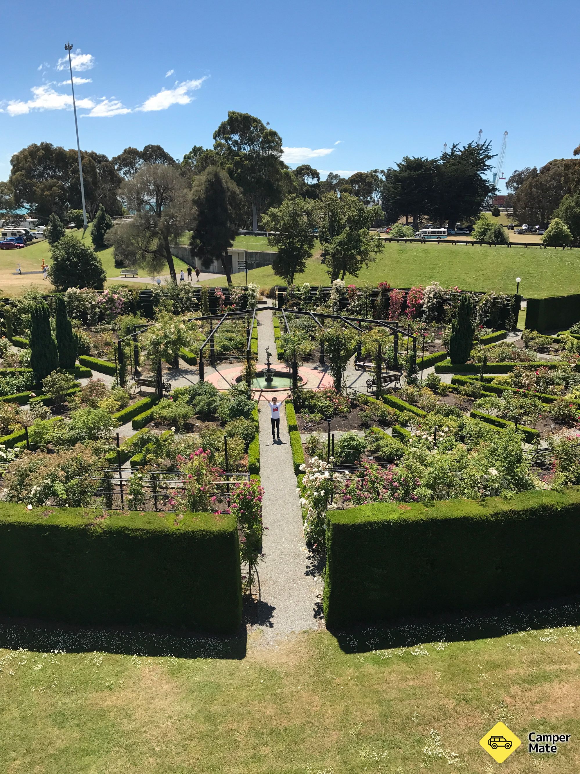 Trevor Griffiths Rose Garden - Image 2