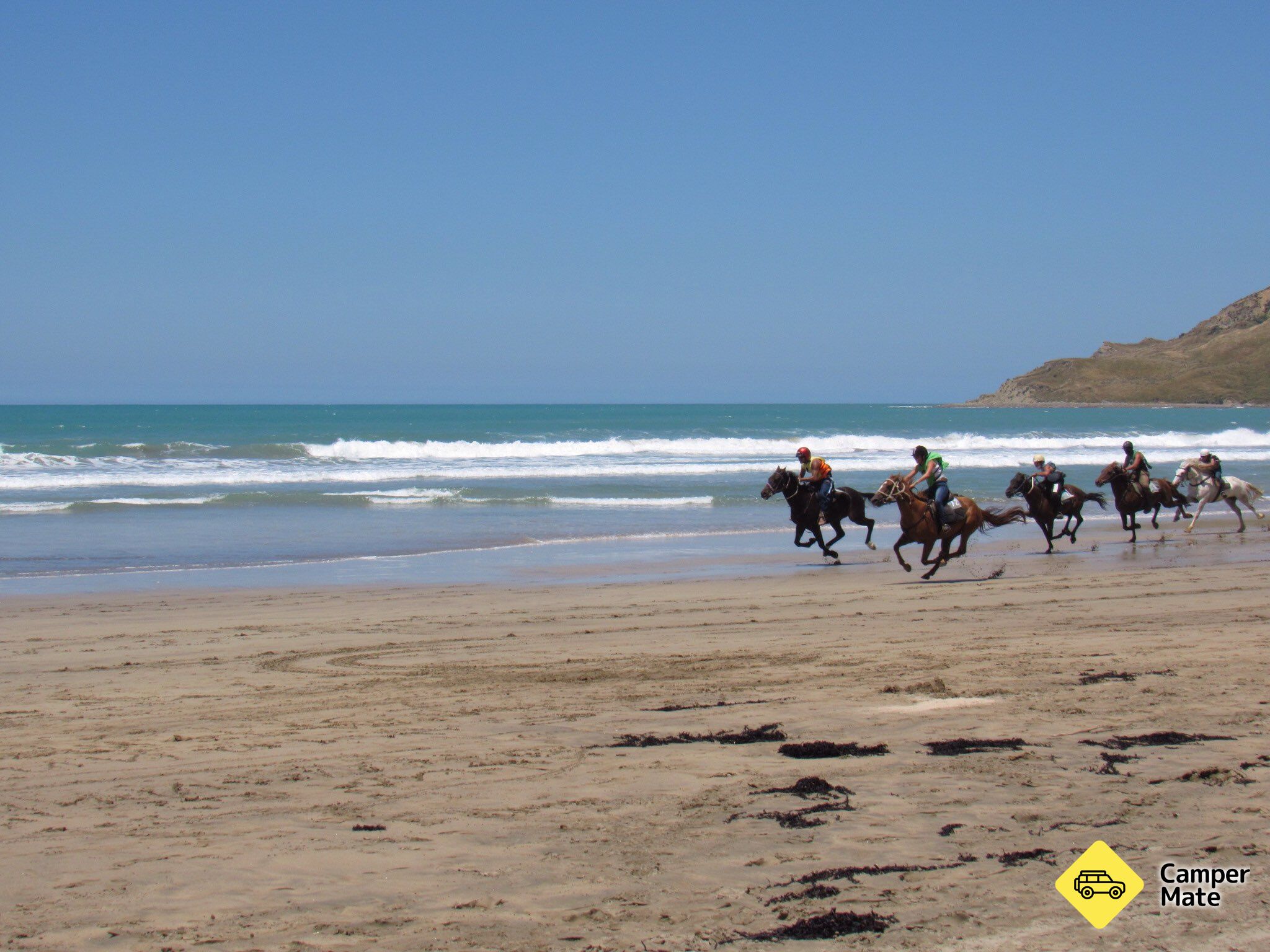 Kaiaua Beach Campground - Image 3