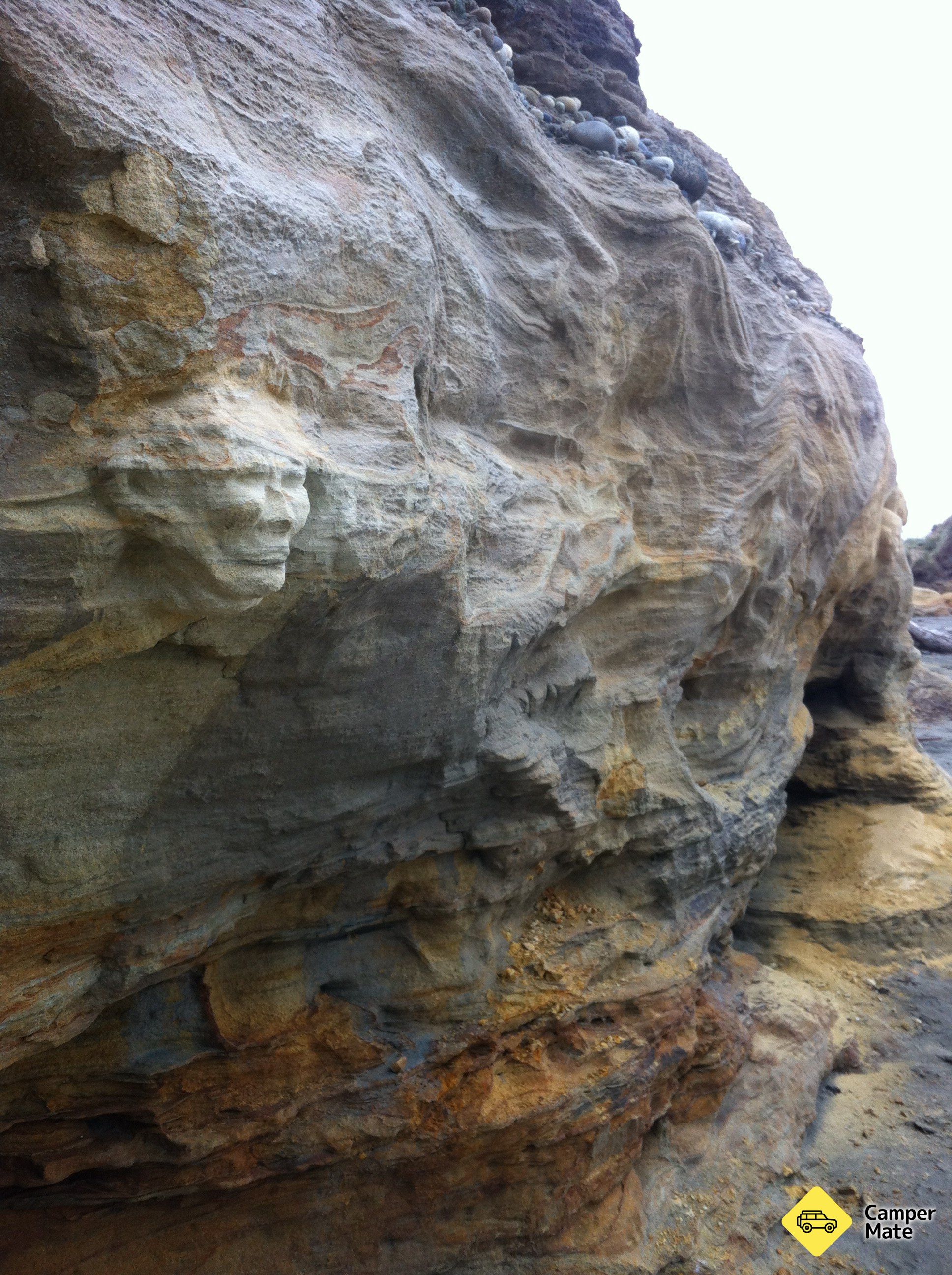 Monkey Island Beach - Image 2