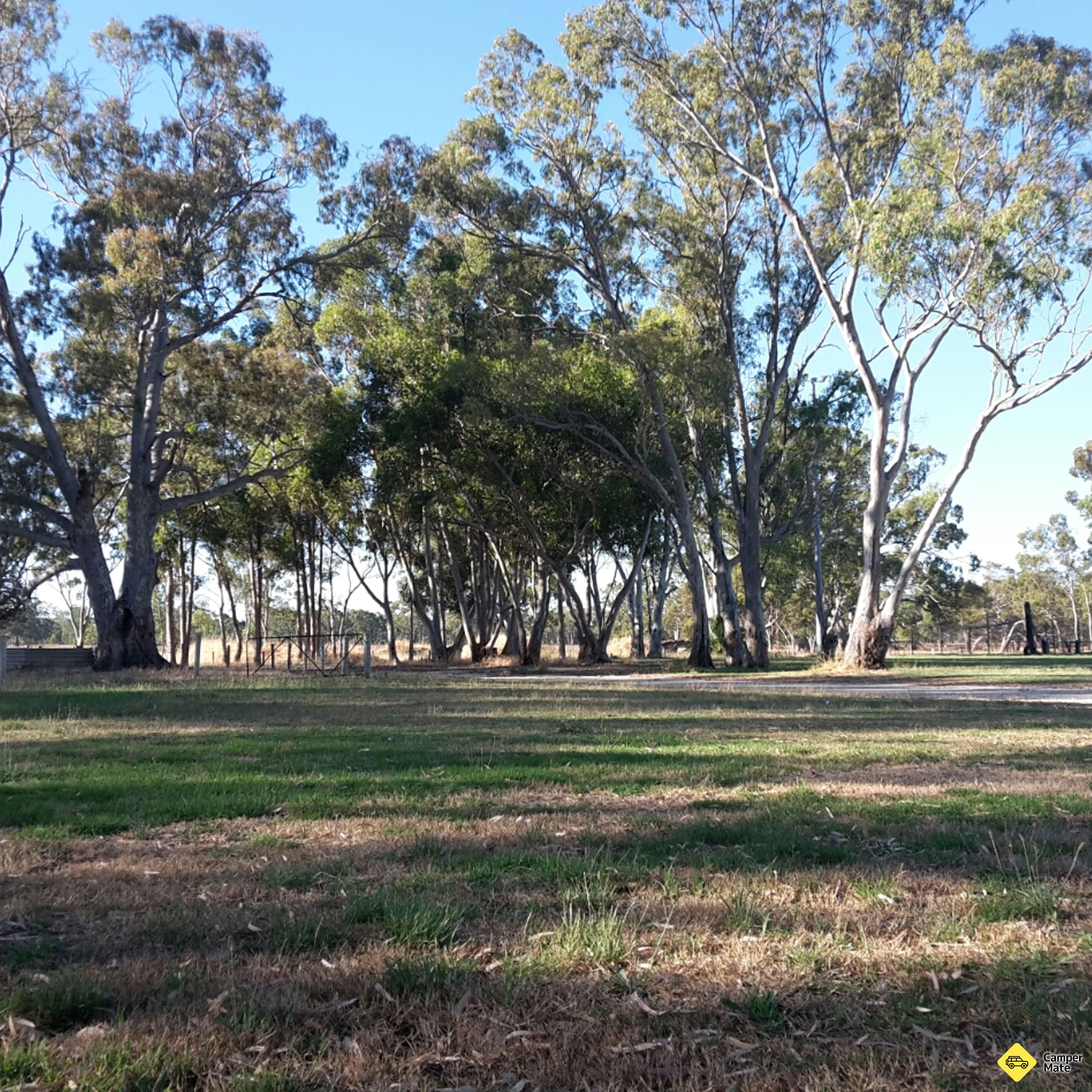Mundulla Showground zu sehen - Image 2