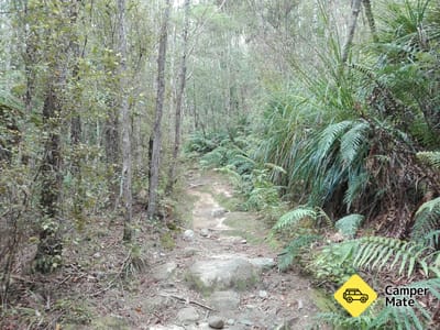 Pupu Hydro Walkway