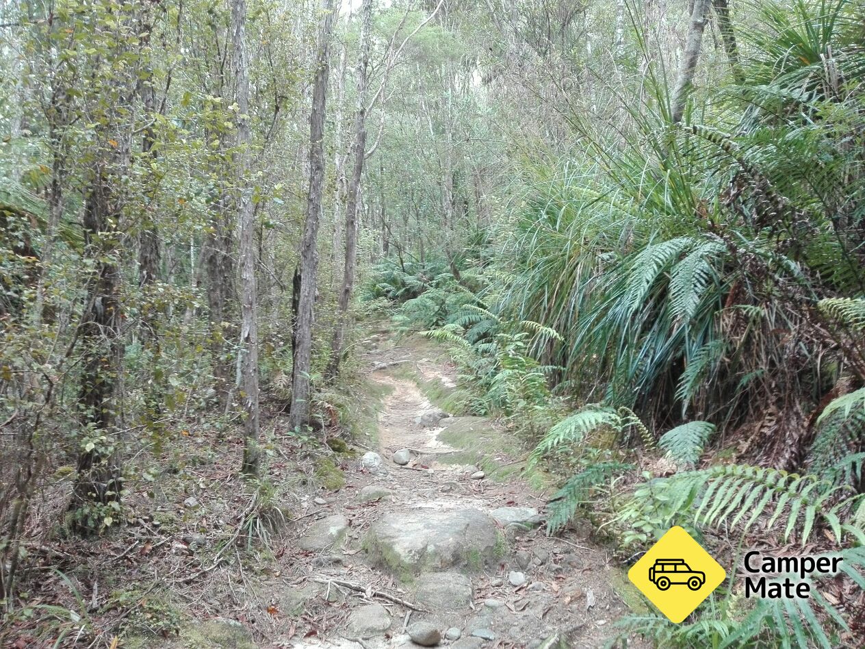 Pupu Hydro Walkway