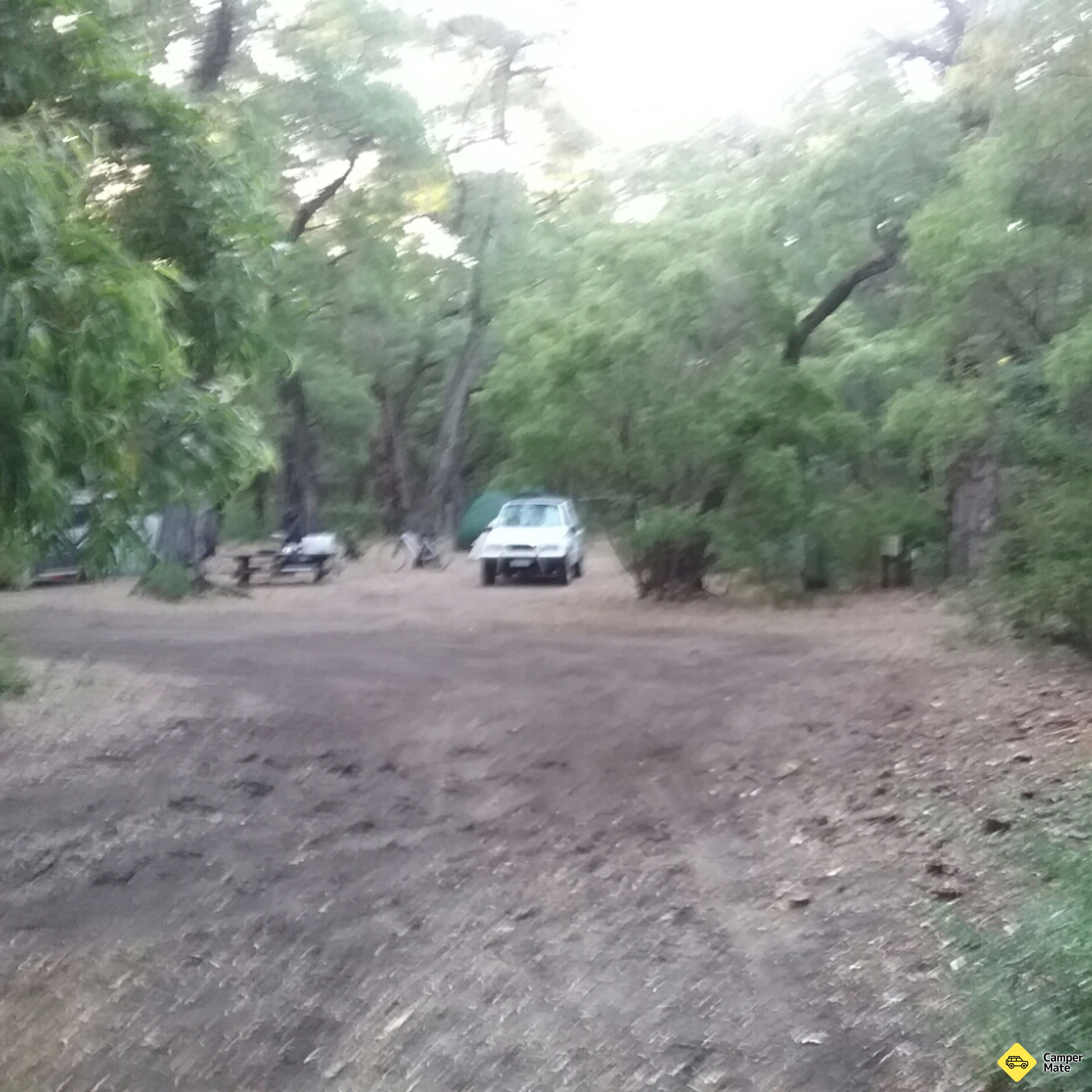 Point Road Campground - Image 2