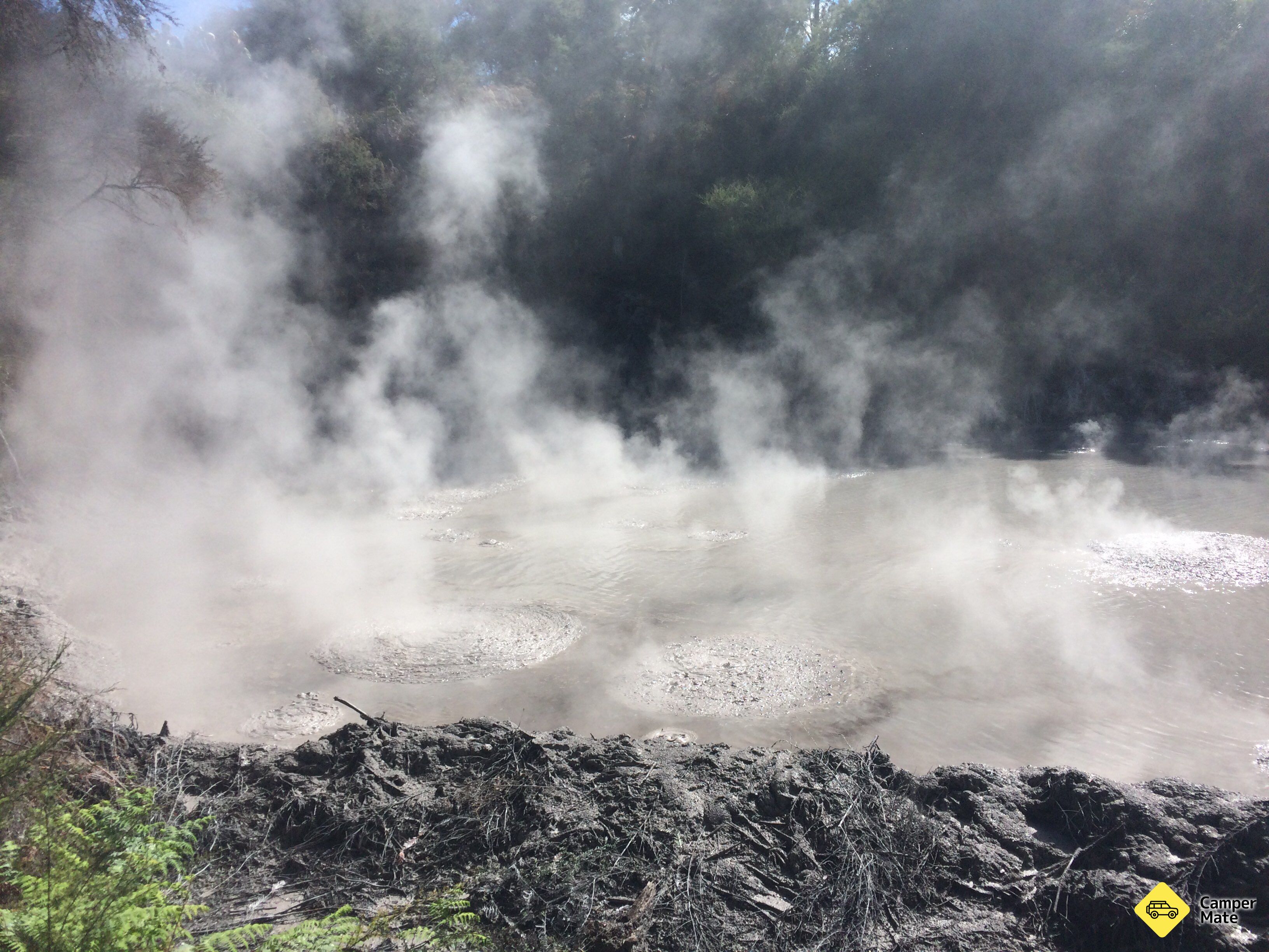 Waiotapu Mud Pool - Image 3