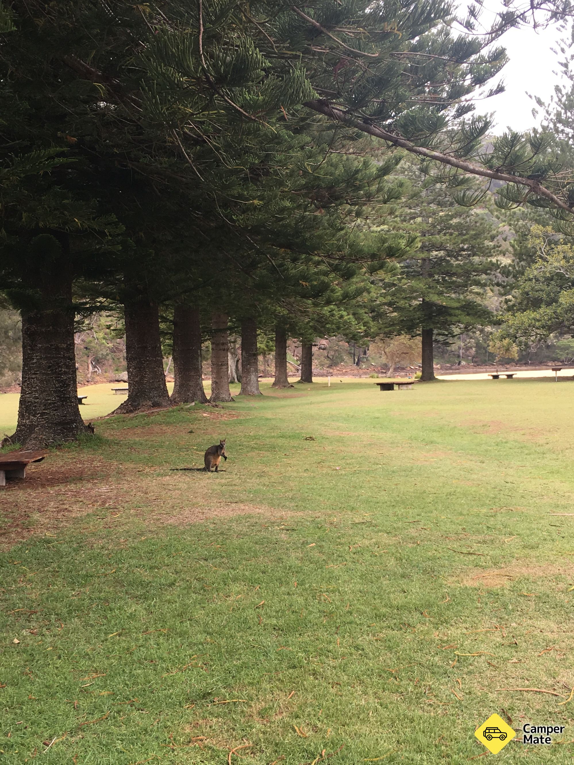 The Basin Campground - Image 3