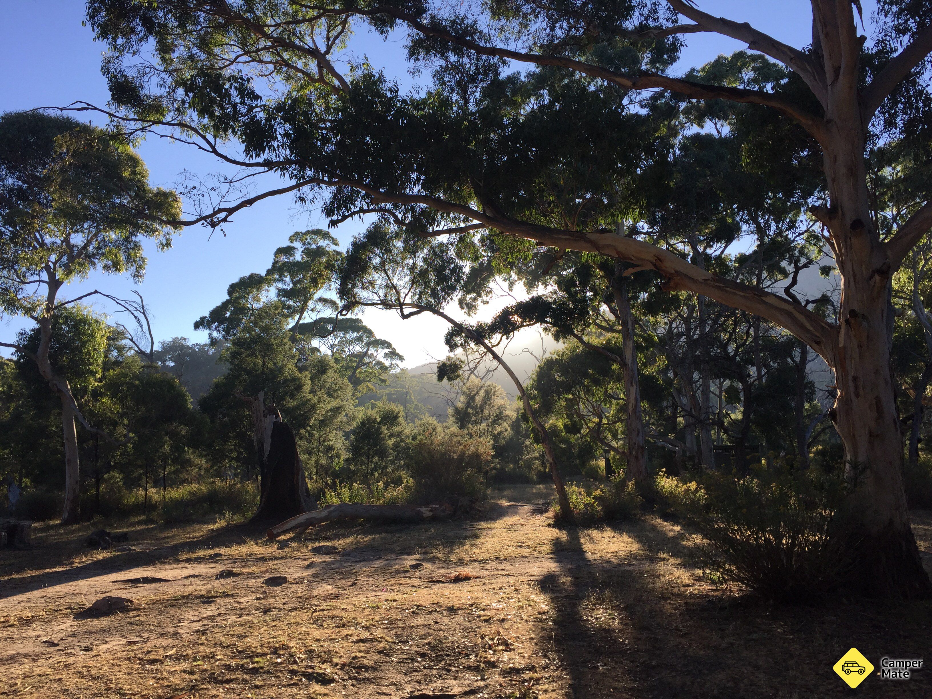 Langi Ghiran Picnic and Camping Area, Langi Ghiran State Park - Image 2